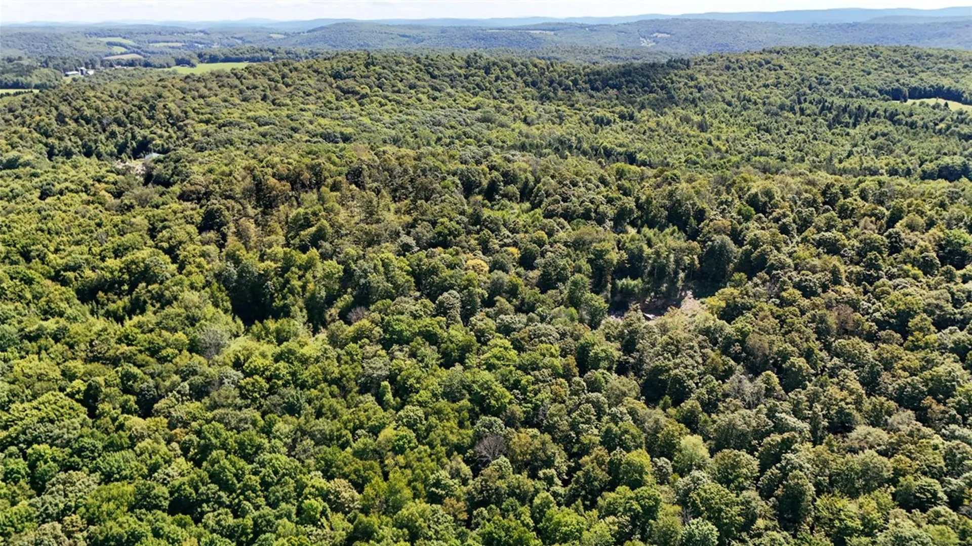 Property at 0 Bullock Hill Road, Tompkins, NY 13839 12