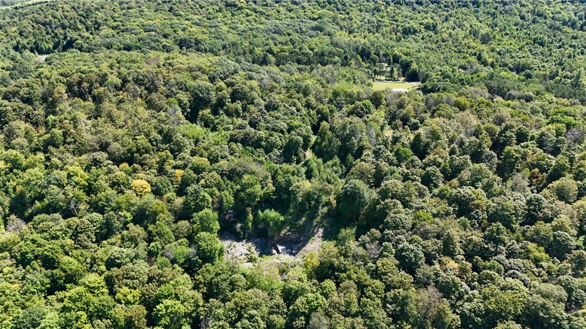 Property at 0 Bullock Hill Road, Tompkins, NY 13839 13