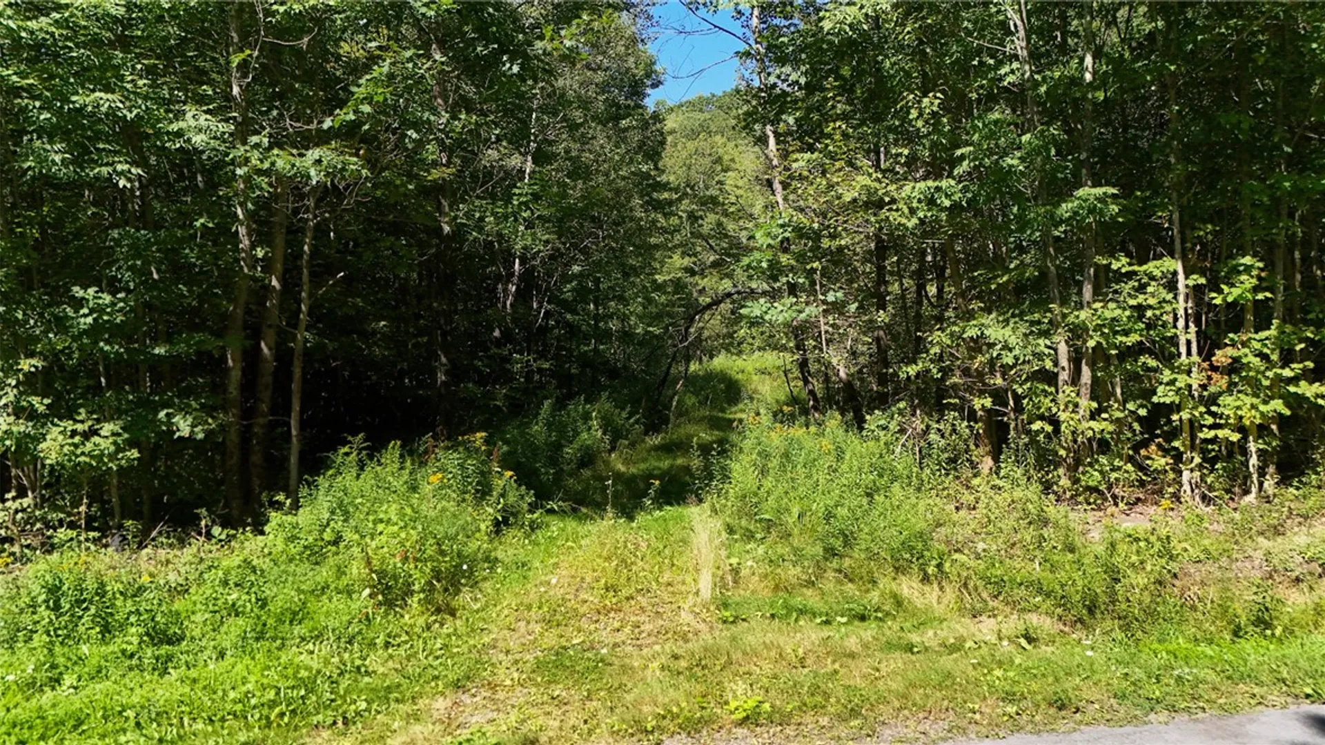 Property at 0 Bullock Hill Road, Tompkins, NY 13839 3