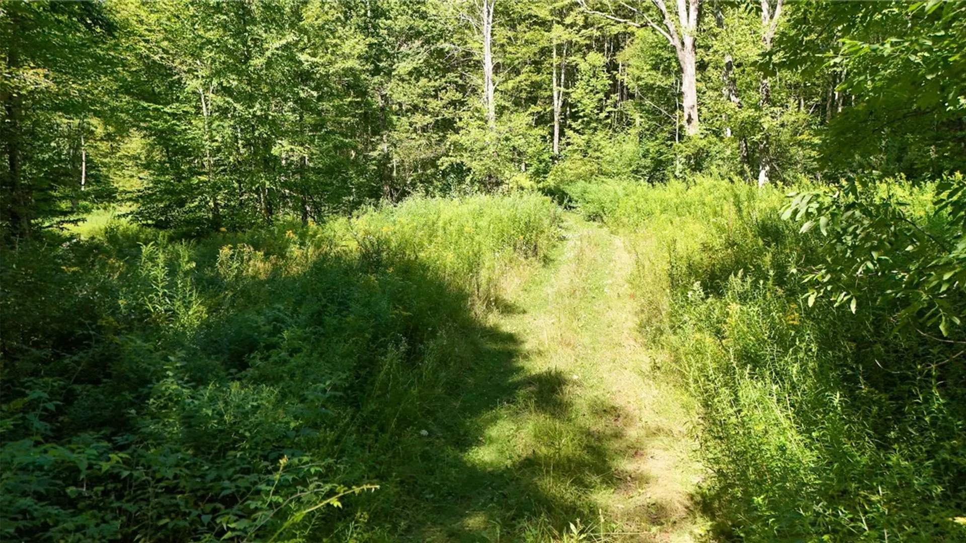 Property at 0 Bullock Hill Road, Tompkins, NY 13839 4