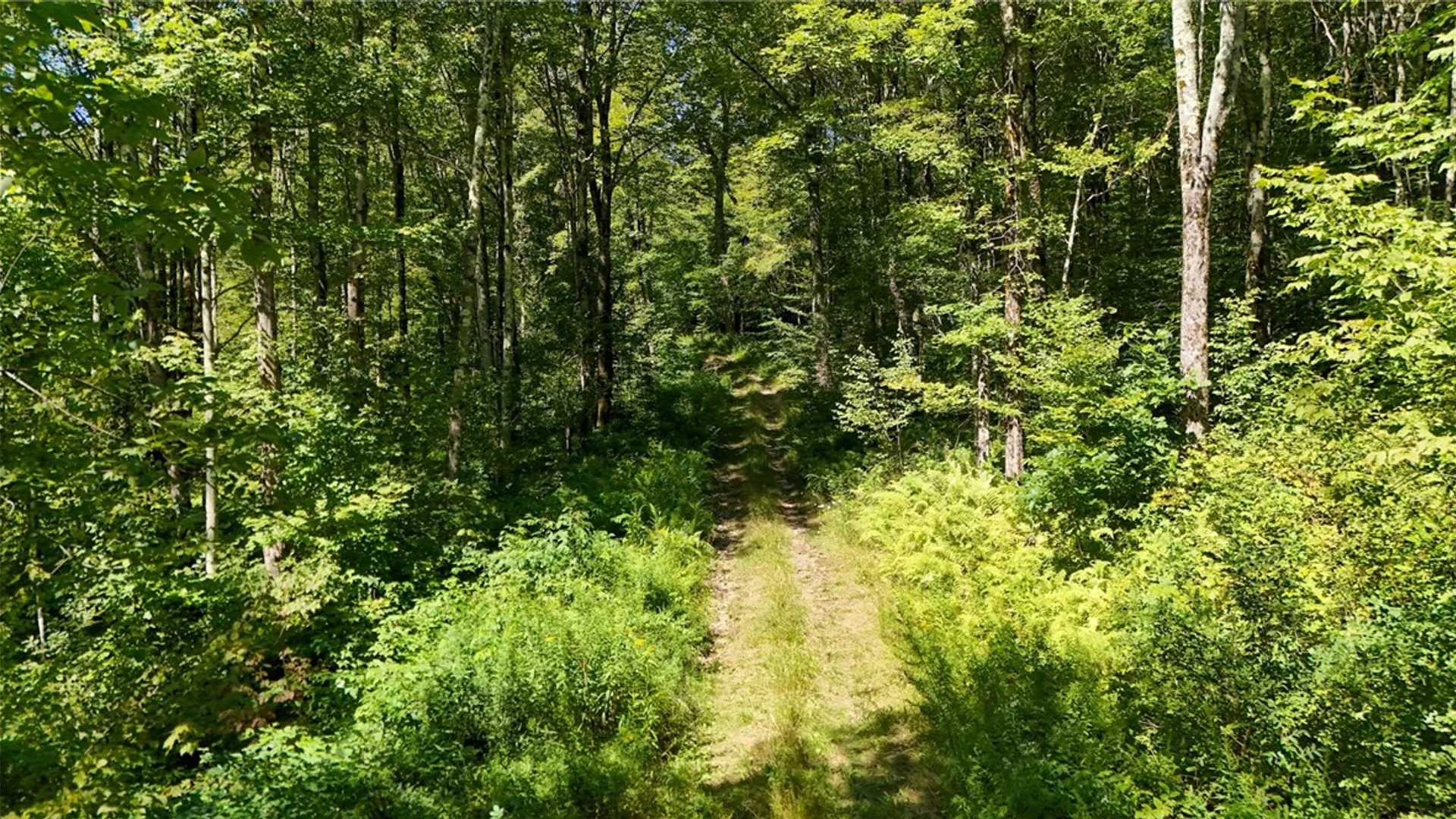 Property at 0 Bullock Hill Road, Tompkins, NY 13839 5