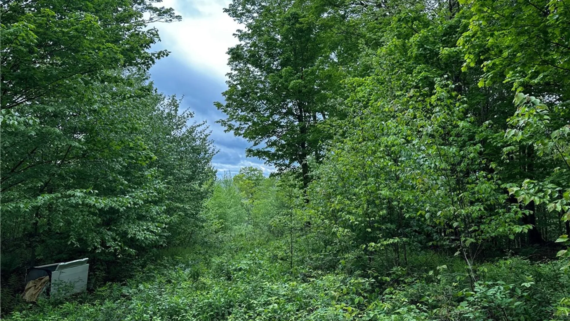 Property at 0 Bullock Hill Road, Tompkins, NY 13839 6