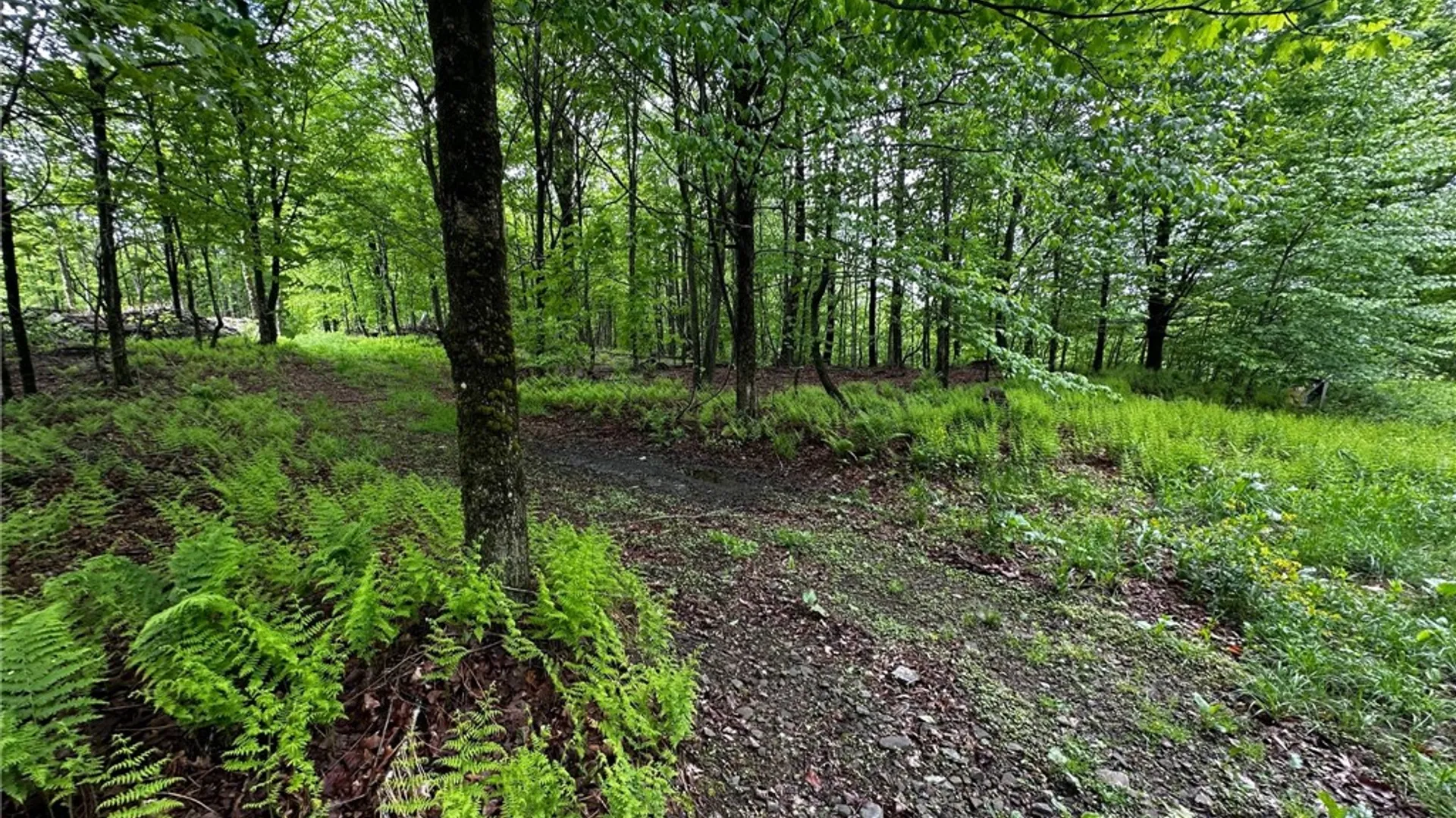 Property at 0 Bullock Hill Road, Tompkins, NY 13839 7