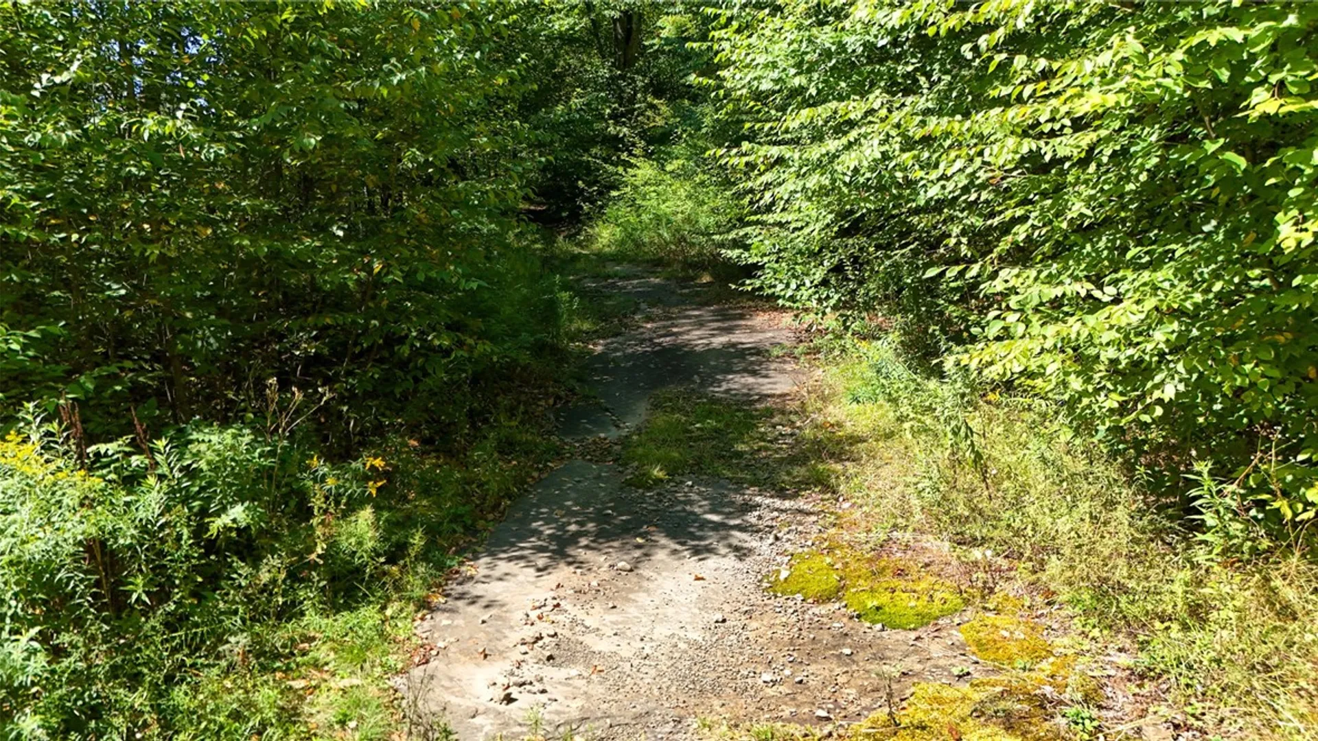 Property at 0 Bullock Hill Road, Tompkins, NY 13839 9