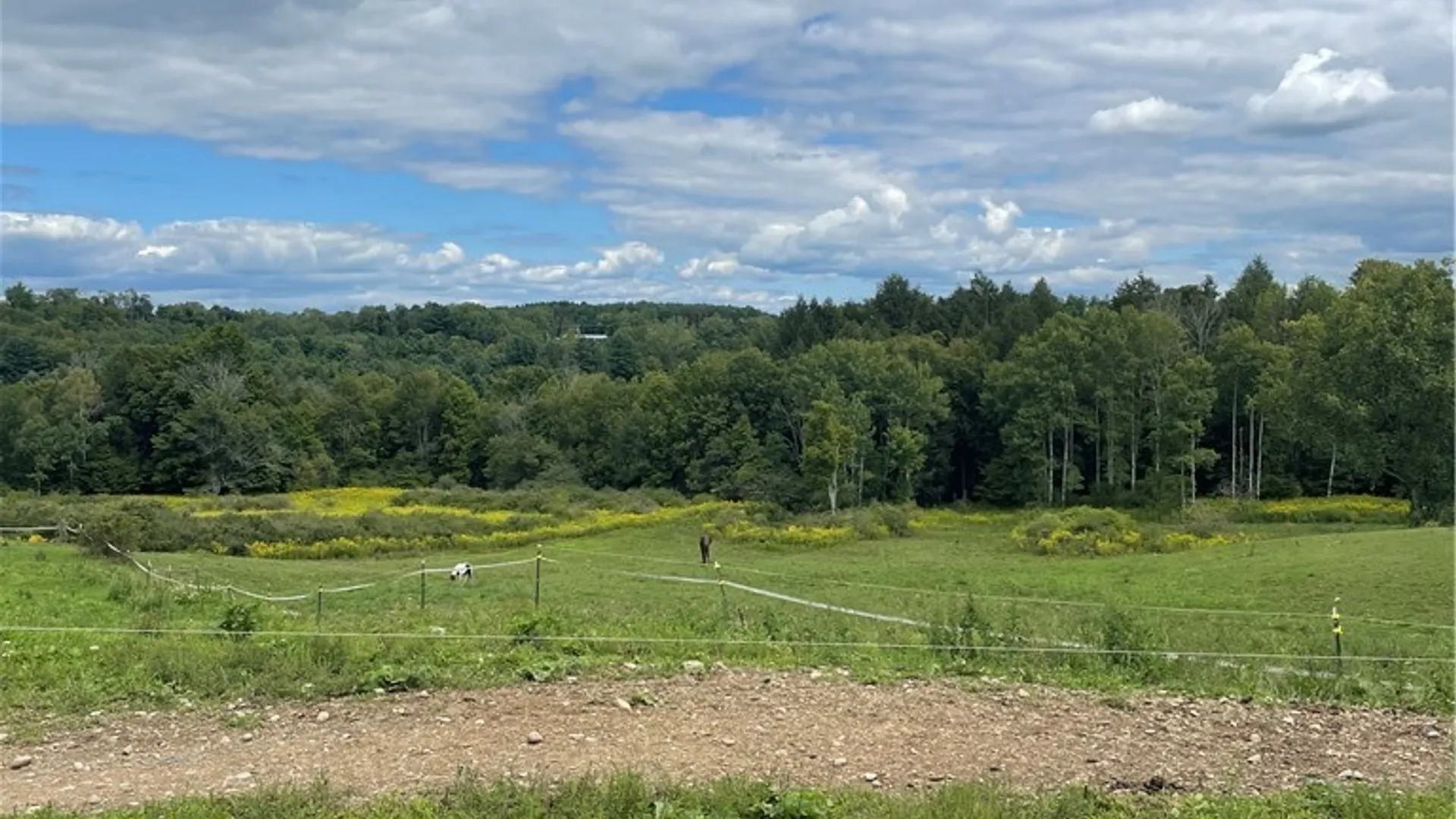 Property at 11339 Merwin Road, Hume, NY 14735 50