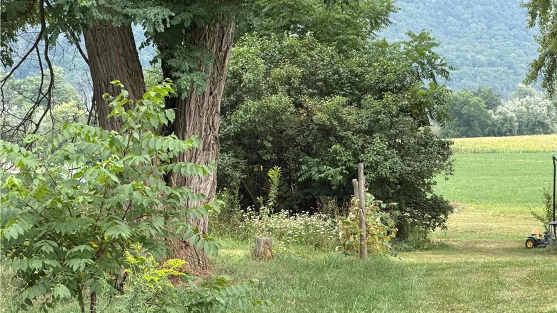 Property at 4116 State Route 21, Cohocton, NY 14572 7