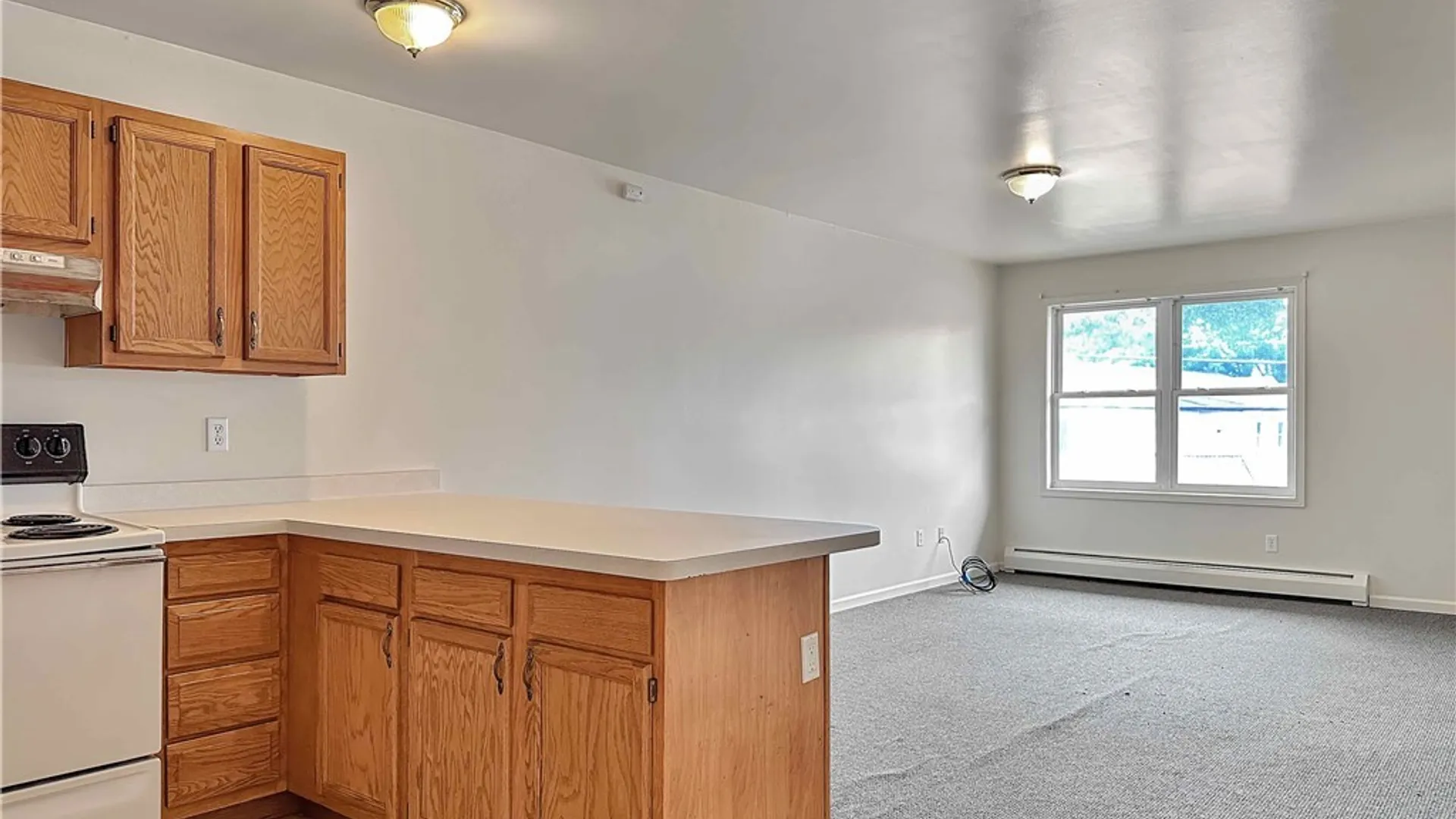 Property at 20 Orchard Street, Geneseo, NY 14454 5