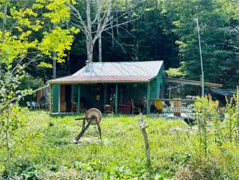 Property at 164 Joe Chamberlain Road, Roseboom, NY 13450