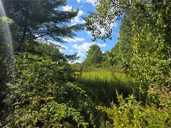 Property at Frog Hollow Road, Campbell, NY 14870