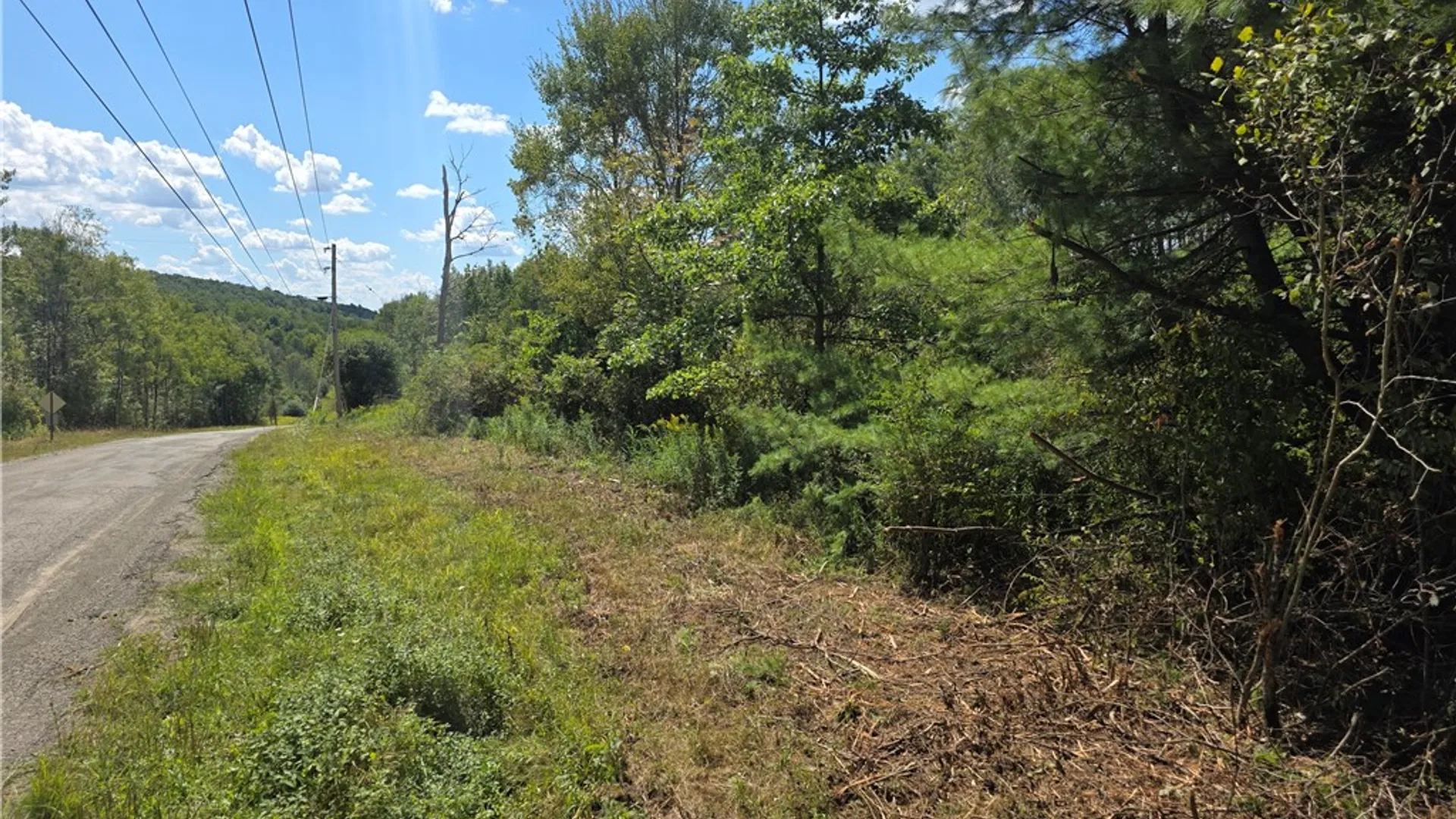 Property at Frog Hollow Road, Campbell, NY 14870 2