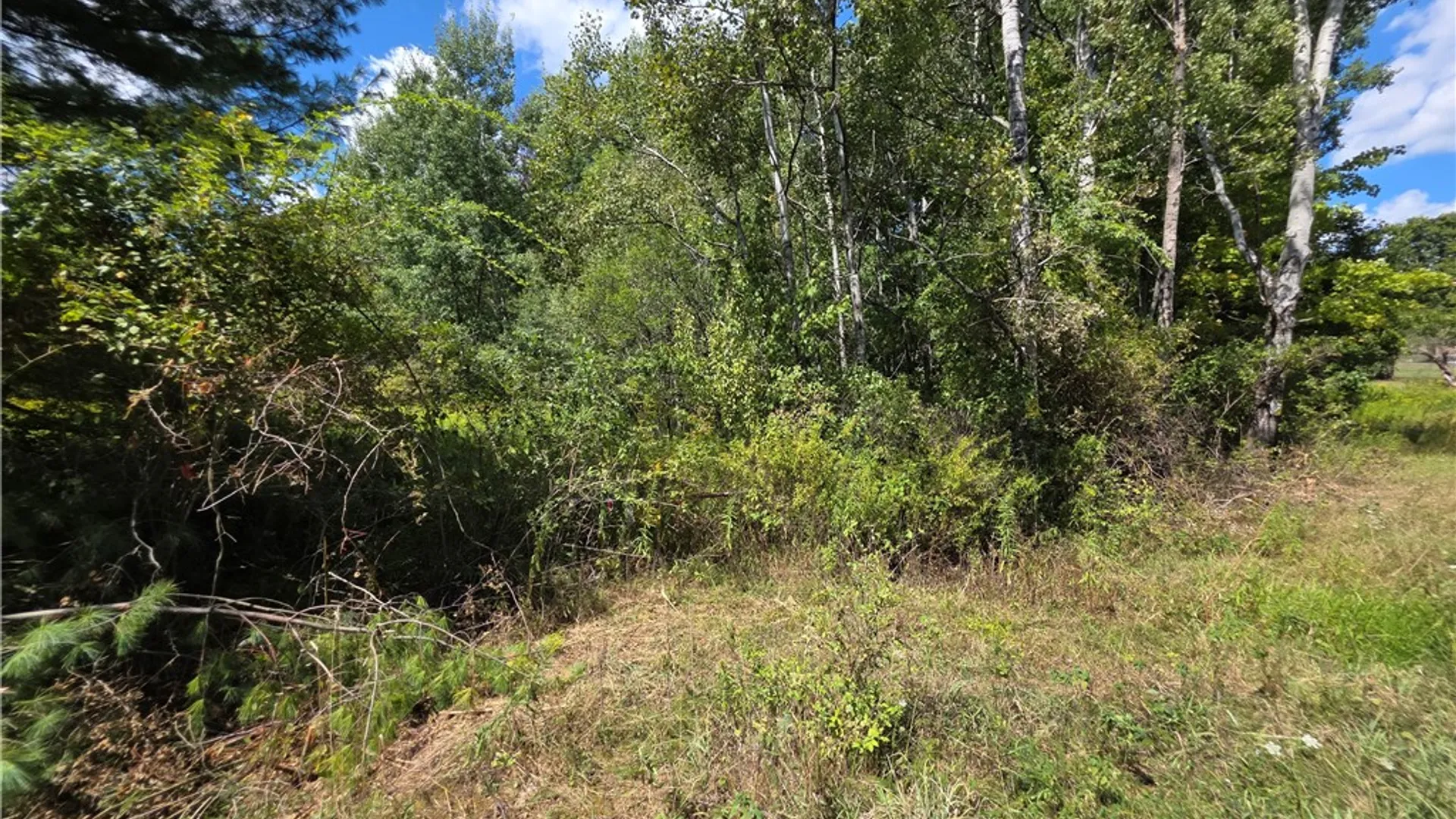 Property at Frog Hollow Road, Campbell, NY 14870 3