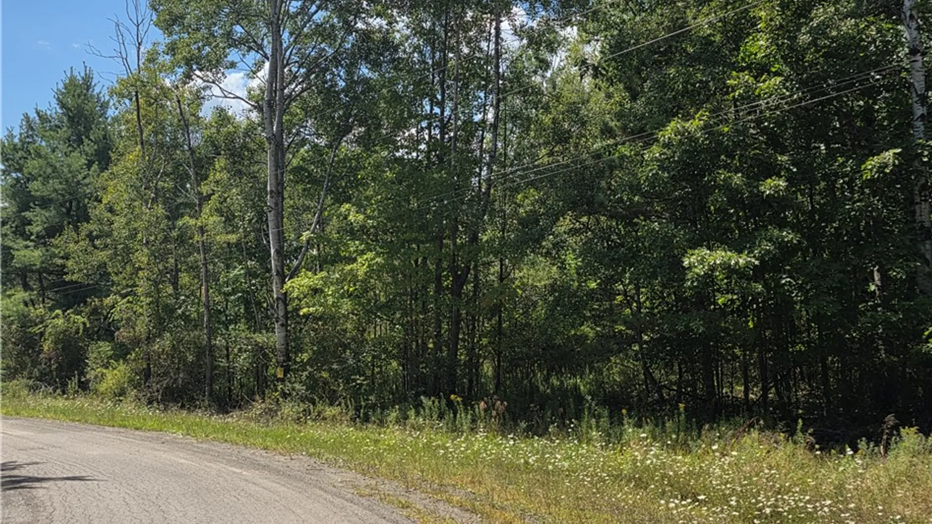 Property at Frog Hollow Road, Campbell, NY 14870 4