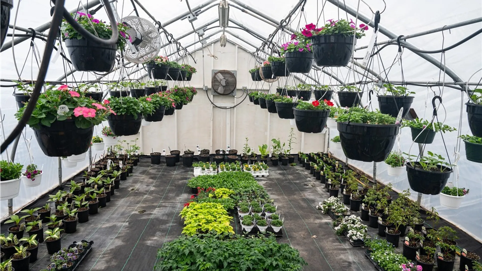 Property at 2774 Oneida Street, Paris, NY 13456 18