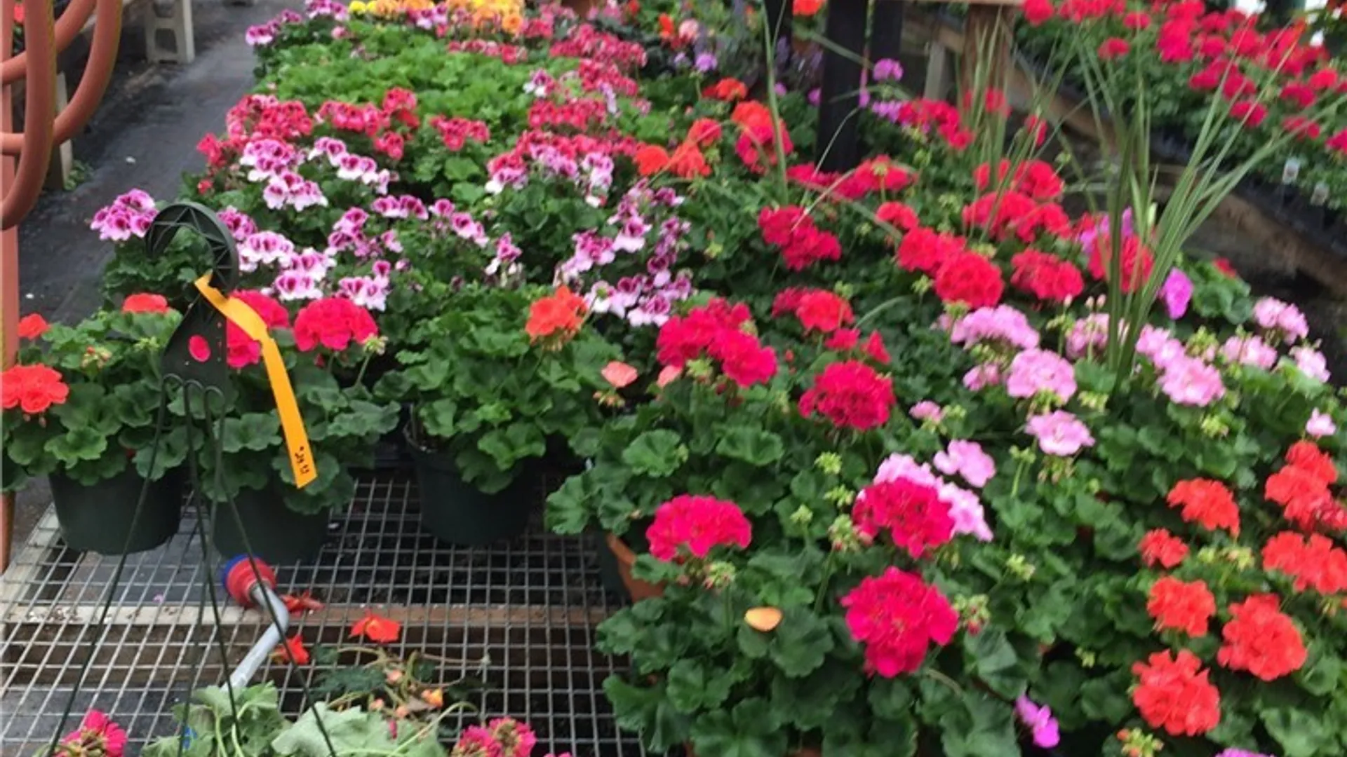 Property at 2774 Oneida Street, Paris, NY 13456 20