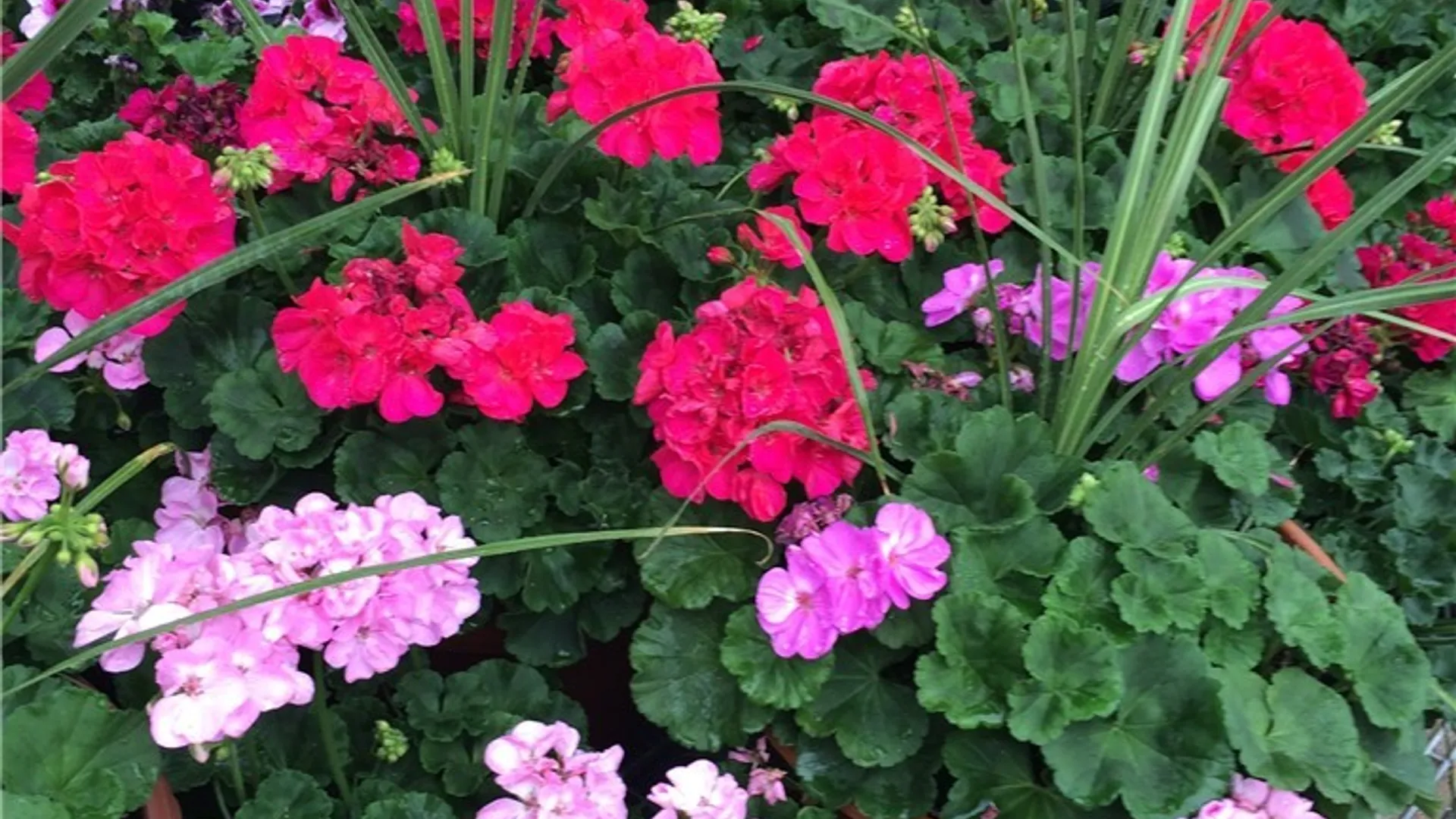 Property at 2774 Oneida Street, Paris, NY 13456 21