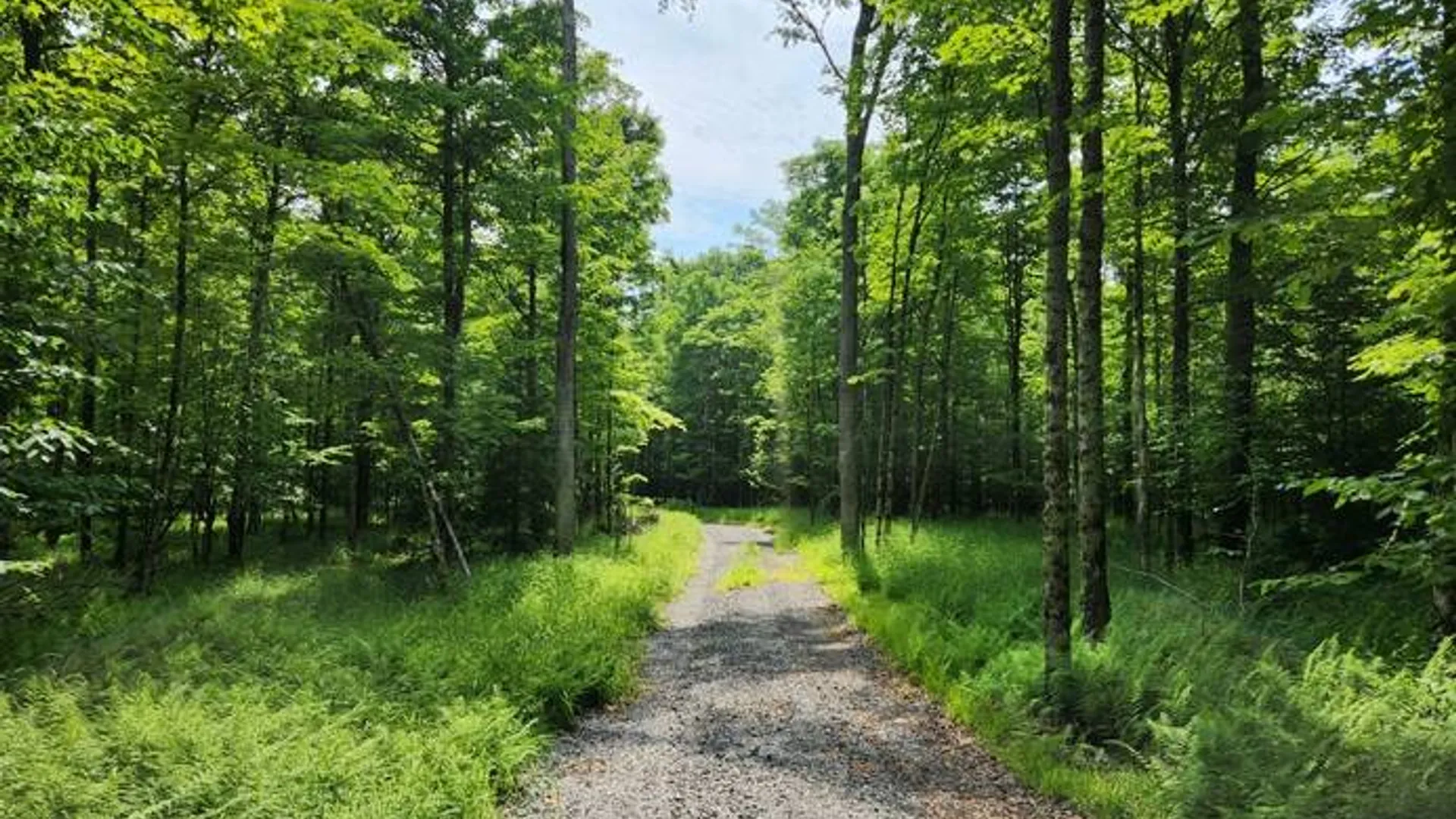 Property at 10547 Balsam Creek Rd, Croghan, NY 13327 11