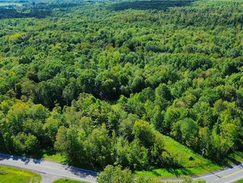 Lot 5-5 Paines Hollow Road, Little Falls Town, NY 13407