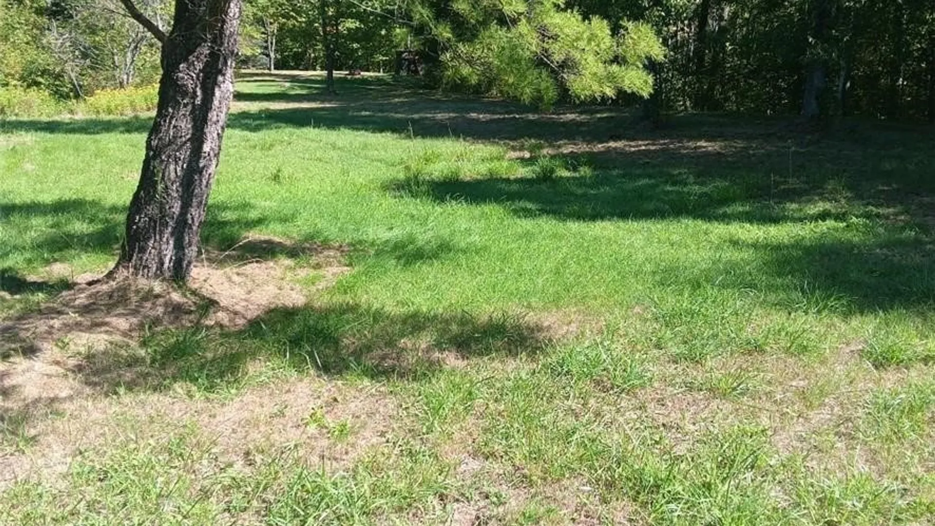Property at 11540 Bolton Road, Yorkshire, NY 14141 5