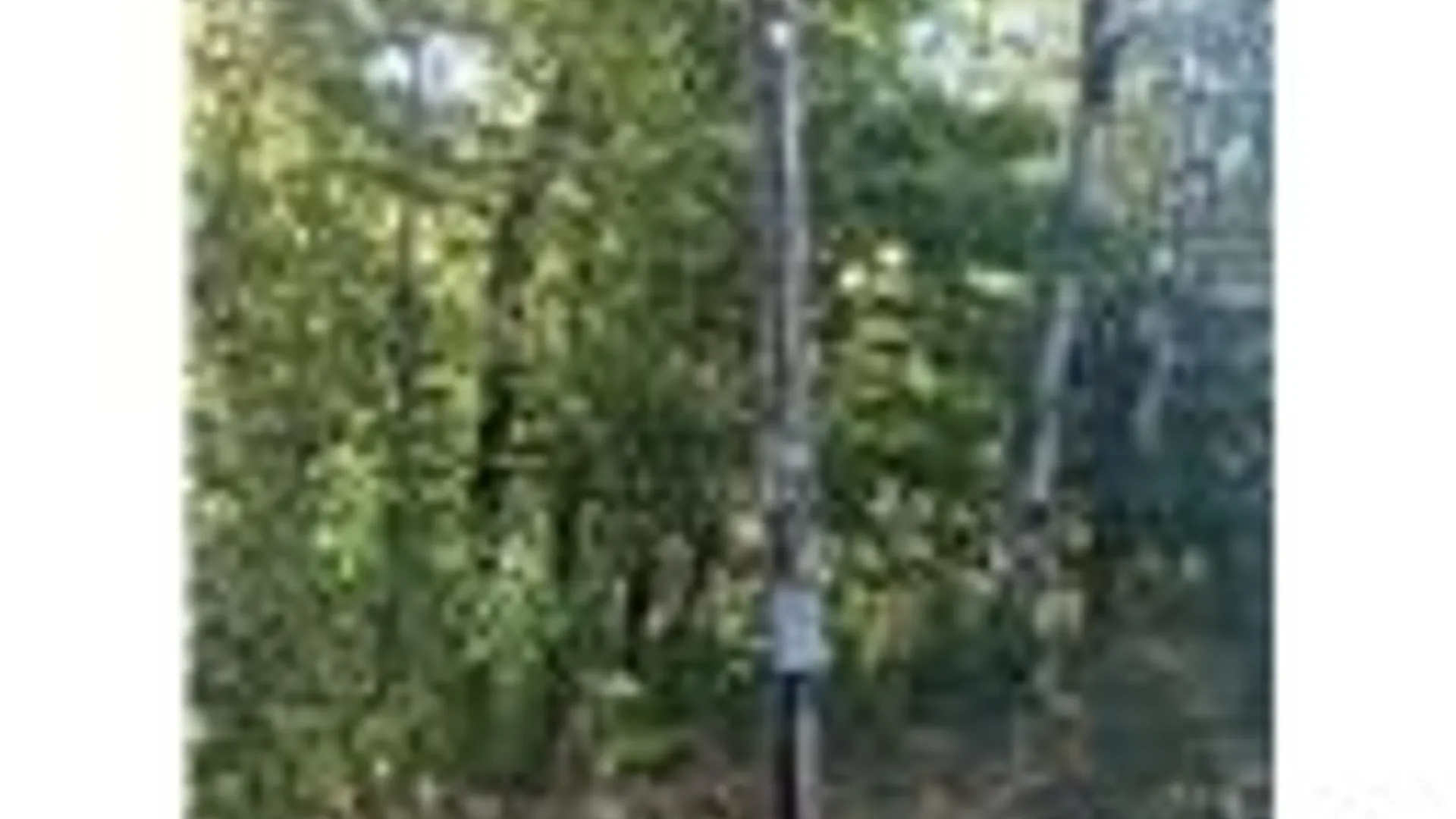 Property at 11540 Bolton Road, Yorkshire, NY 14141 6