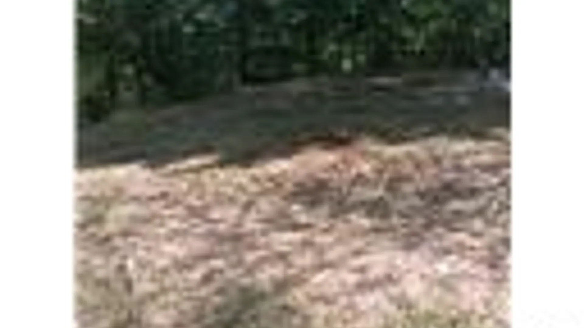 Property at 11540 Bolton Road, Yorkshire, NY 14141 7