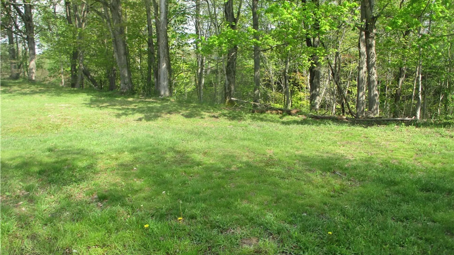 Property at 11540 Bolton Road, Yorkshire, NY 14141 9