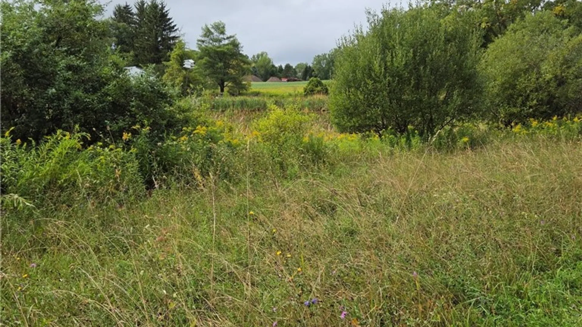 Property at 0 Richley Road, Darien, NY 14036 3