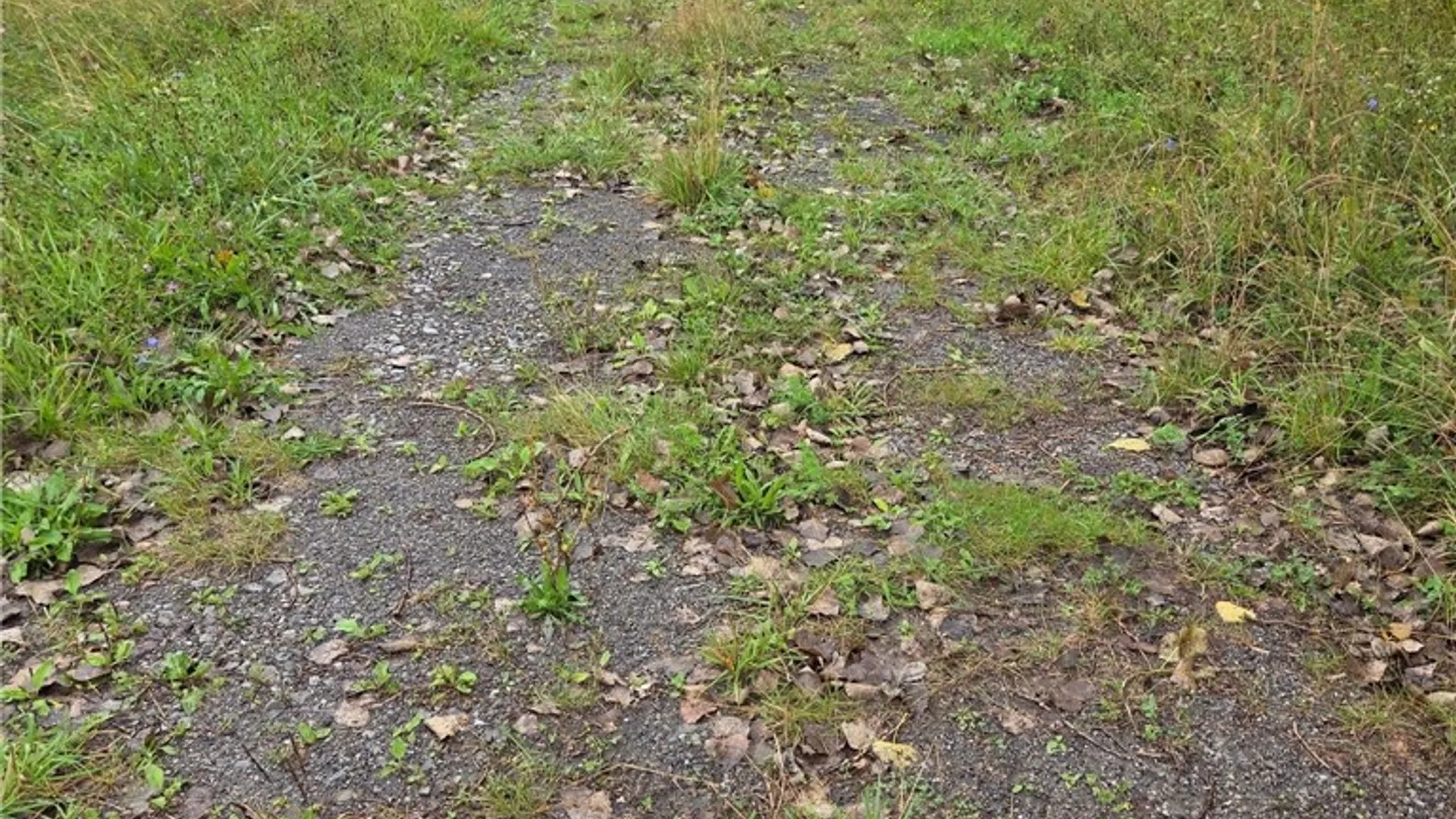 Property at 0 Richley Road, Darien, NY 14036 4