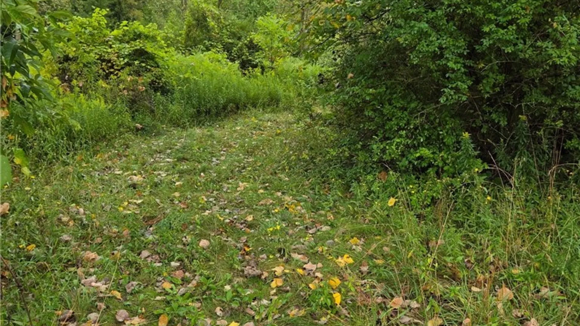 Property at 0 Richley Road, Darien, NY 14036 6