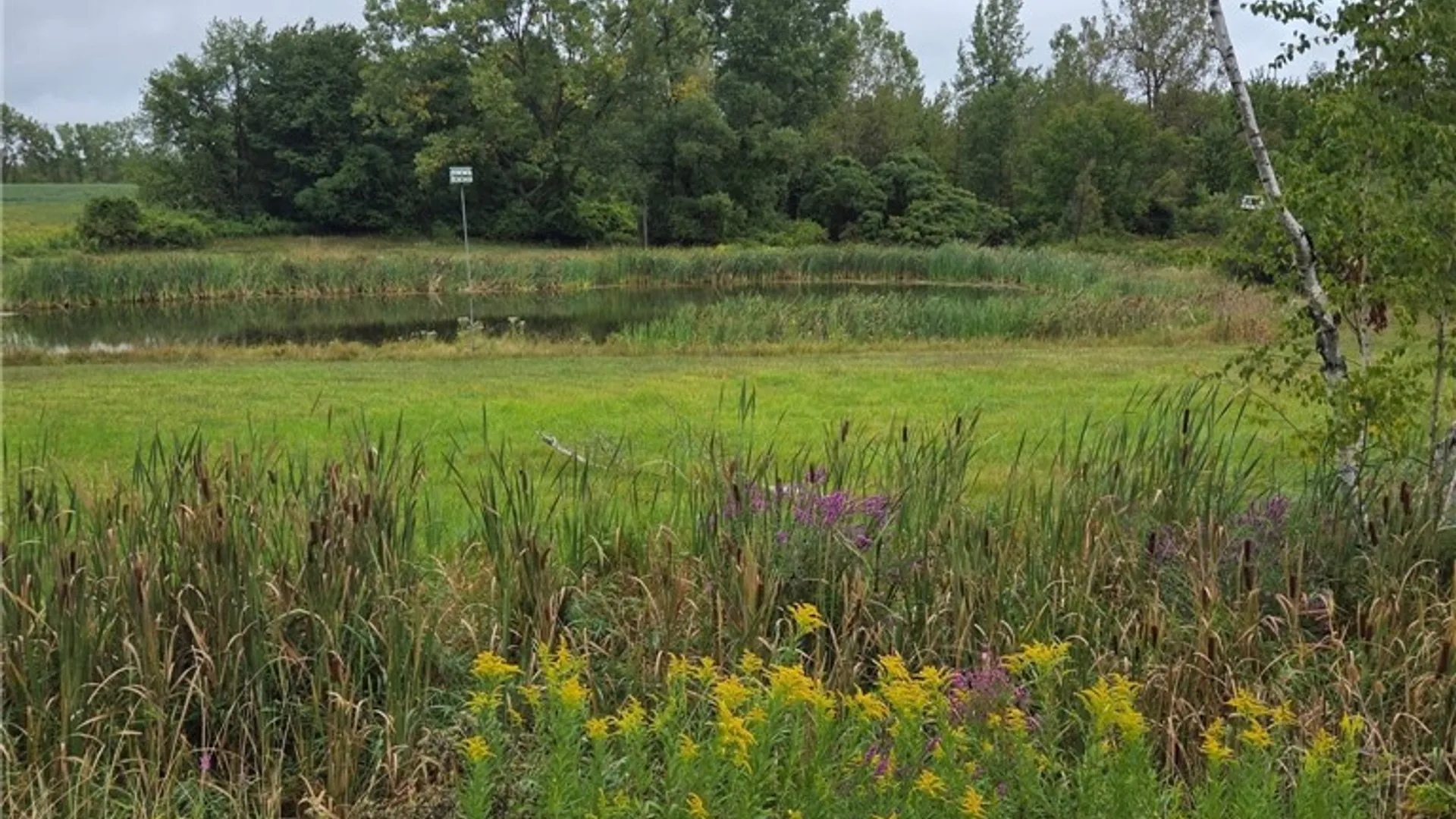 Property at 0 Richley Road, Darien, NY 14036 7