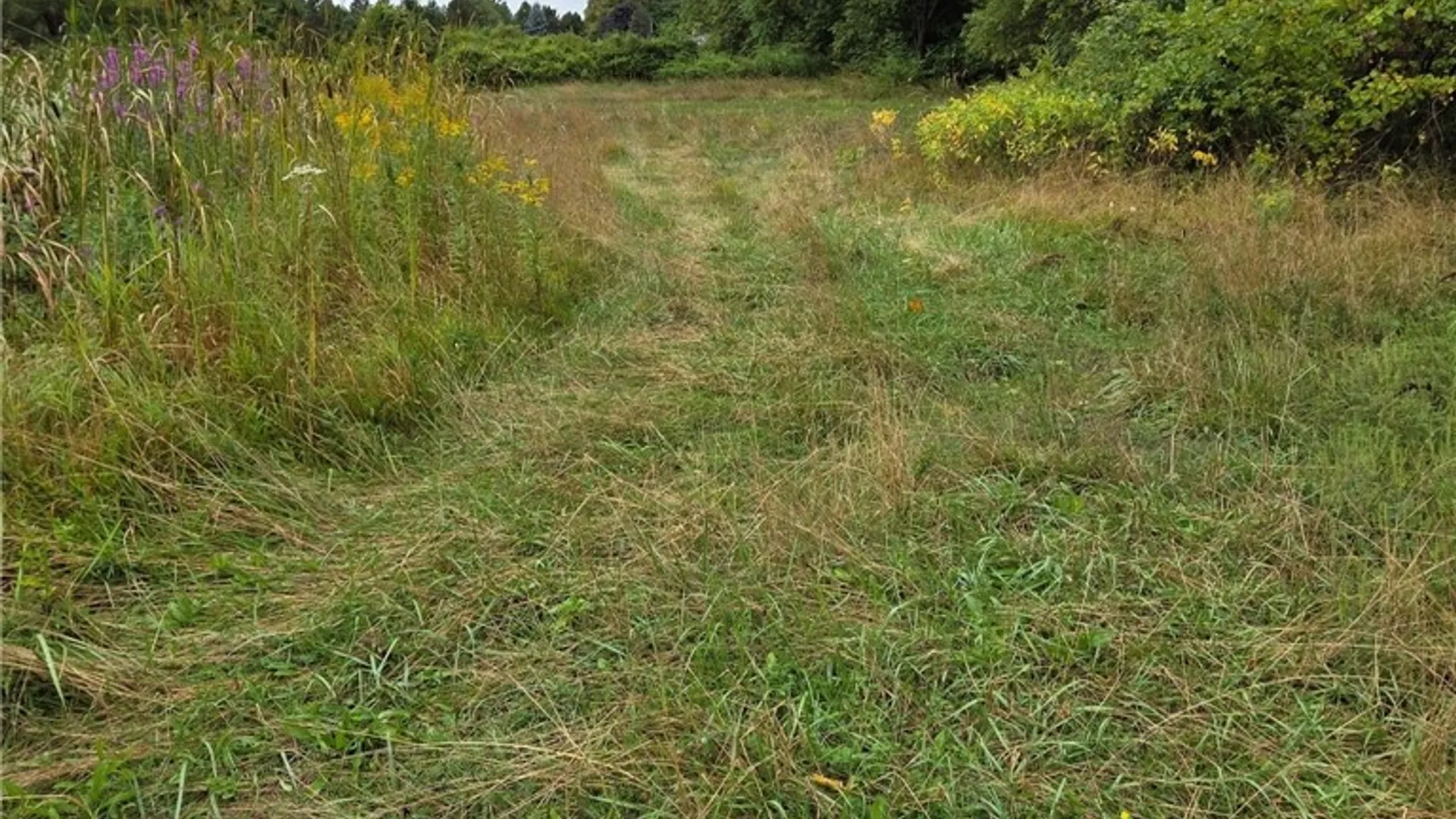 Property at 0 Richley Road, Darien, NY 14036 8