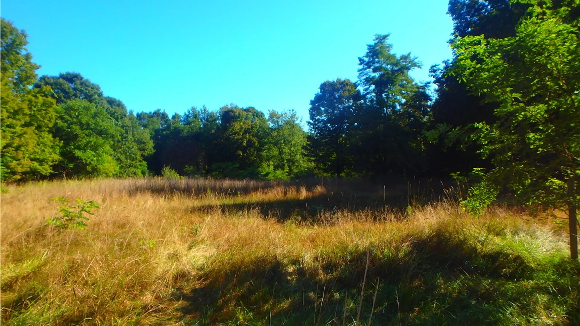 Property at 14024 Cosgrove Road, Sterling, NY 13156 11