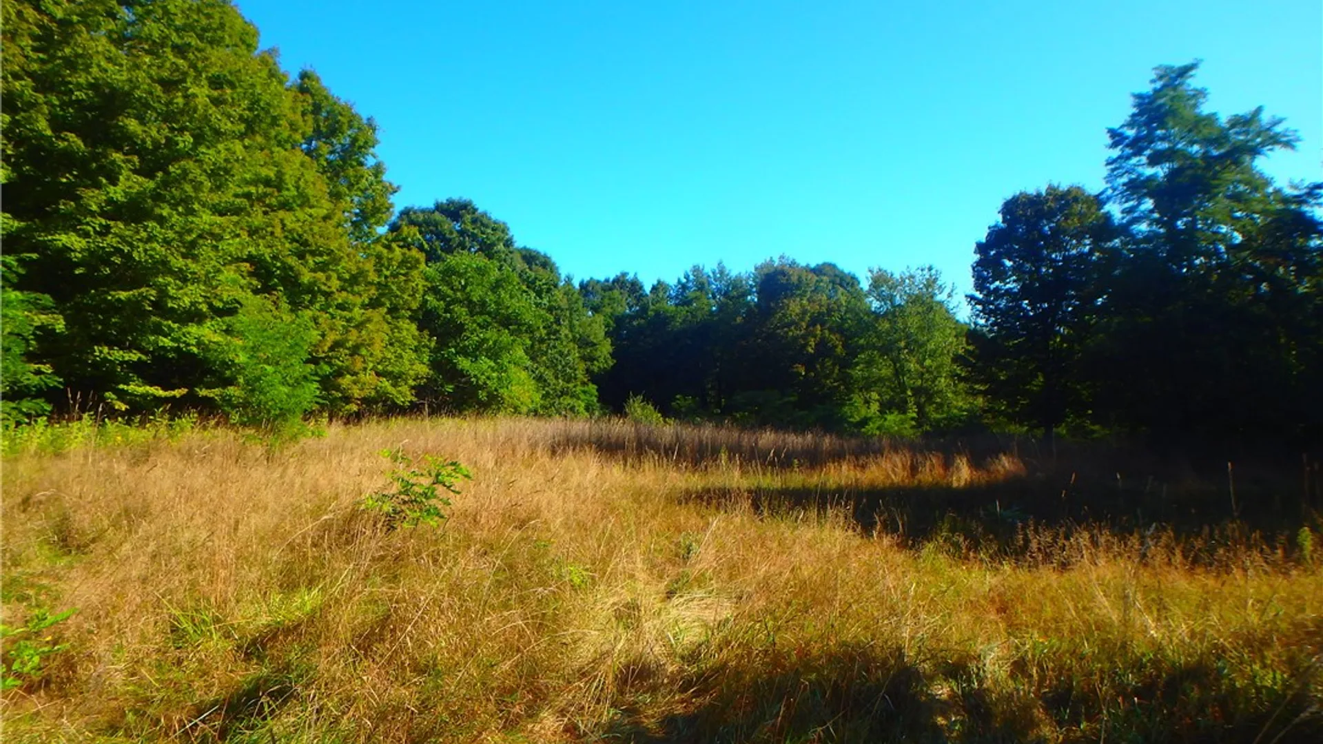 Property at 14024 Cosgrove Road, Sterling, NY 13156 12