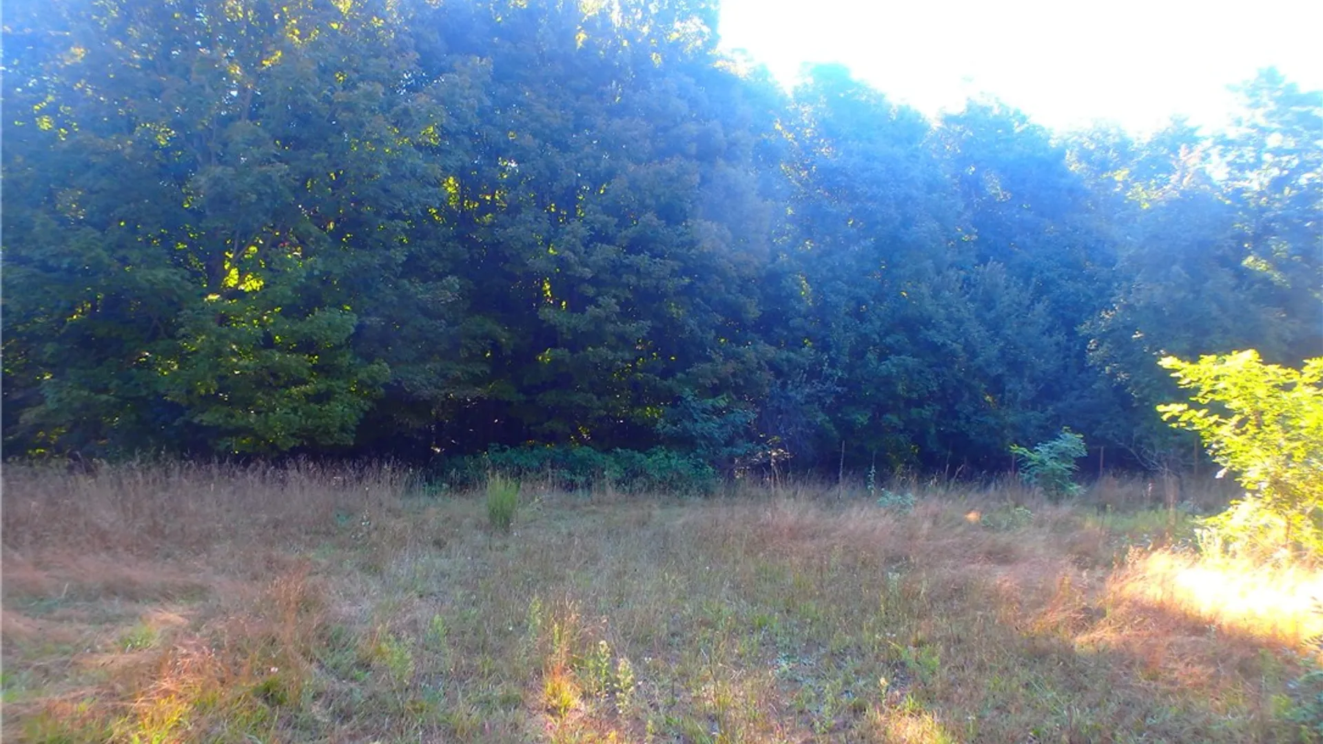 Property at 14024 Cosgrove Road, Sterling, NY 13156 13