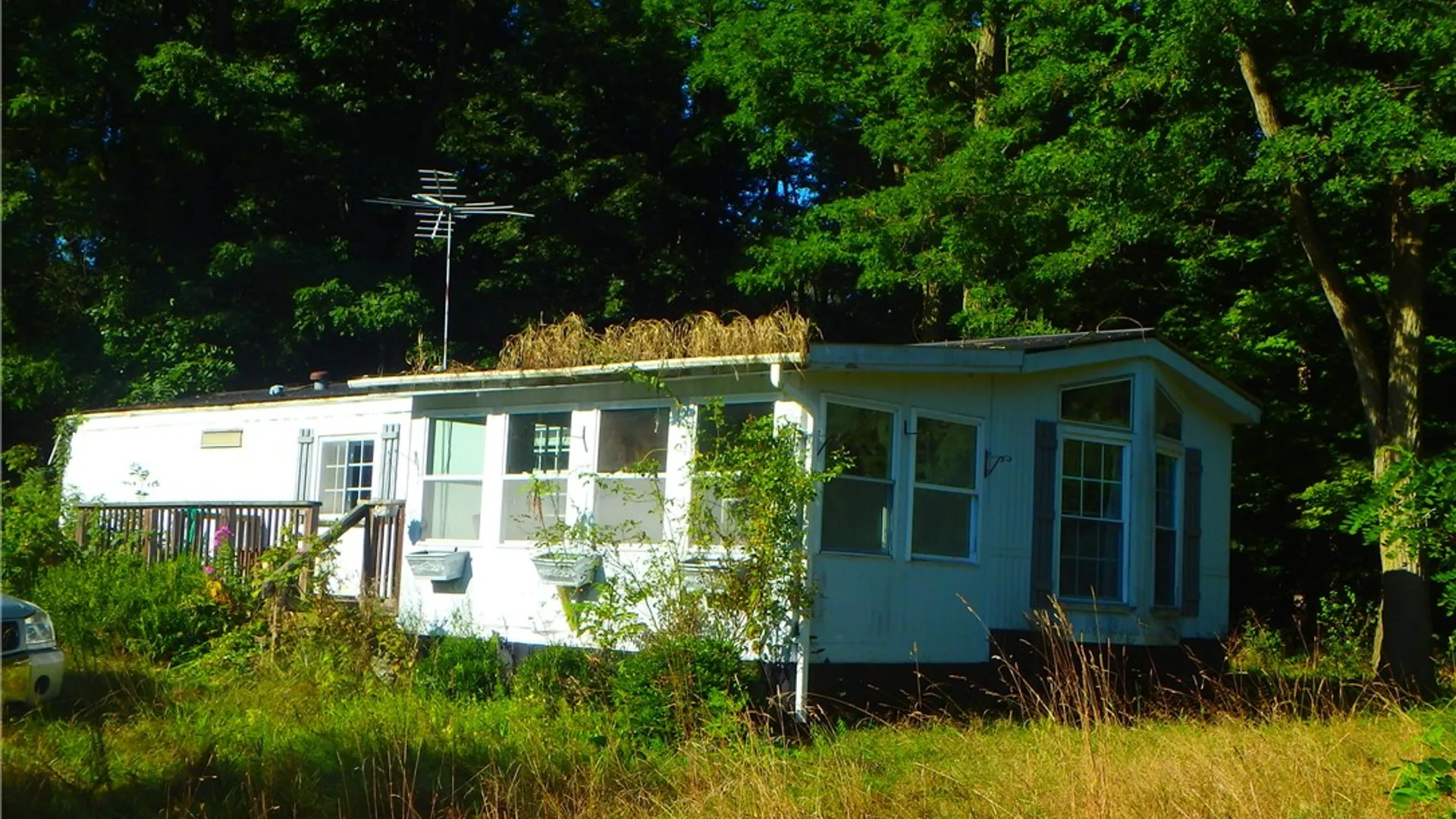 Property at 14024 Cosgrove Road, Sterling, NY 13156 15