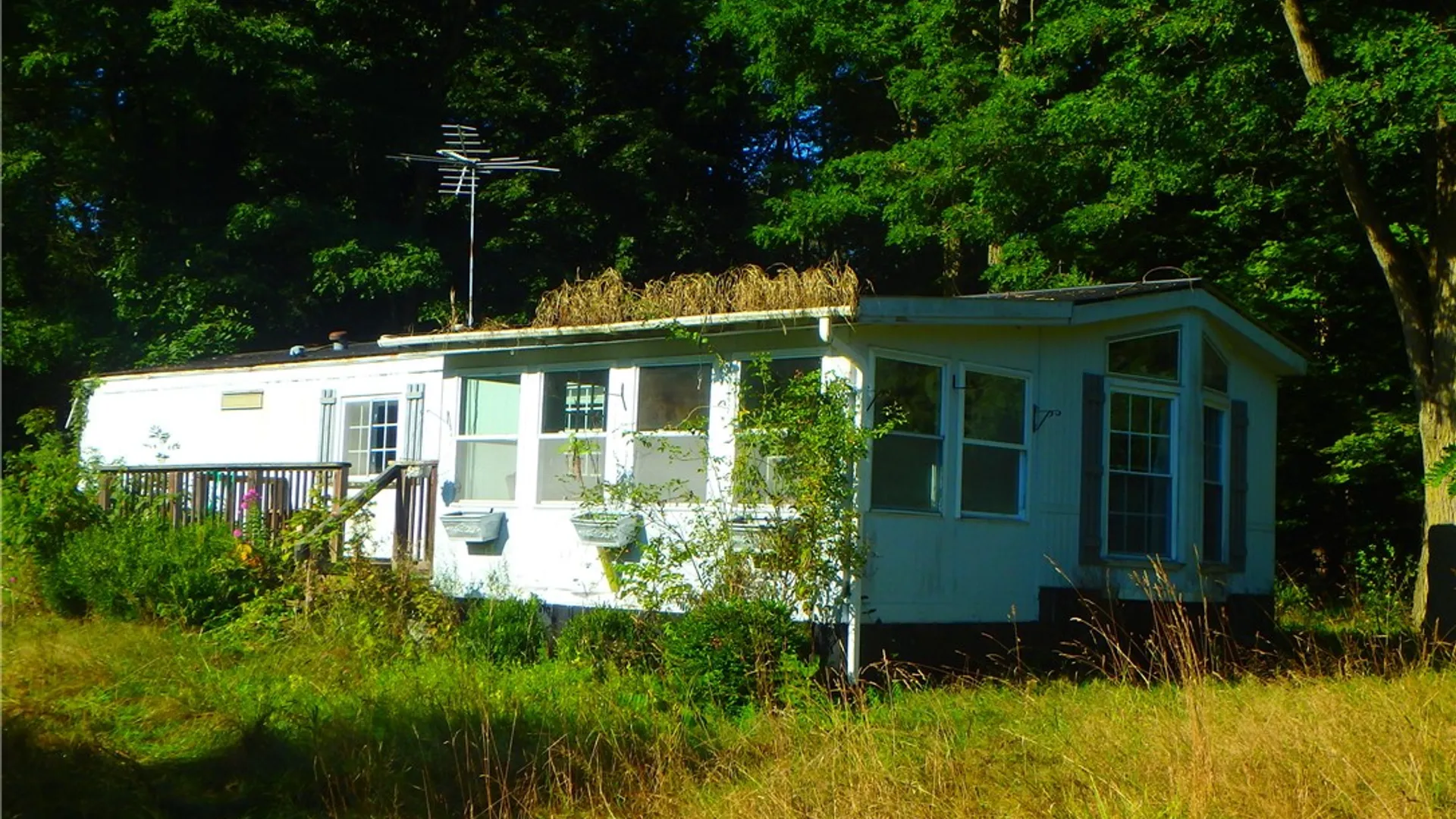 Property at 14024 Cosgrove Road, Sterling, NY 13156 16