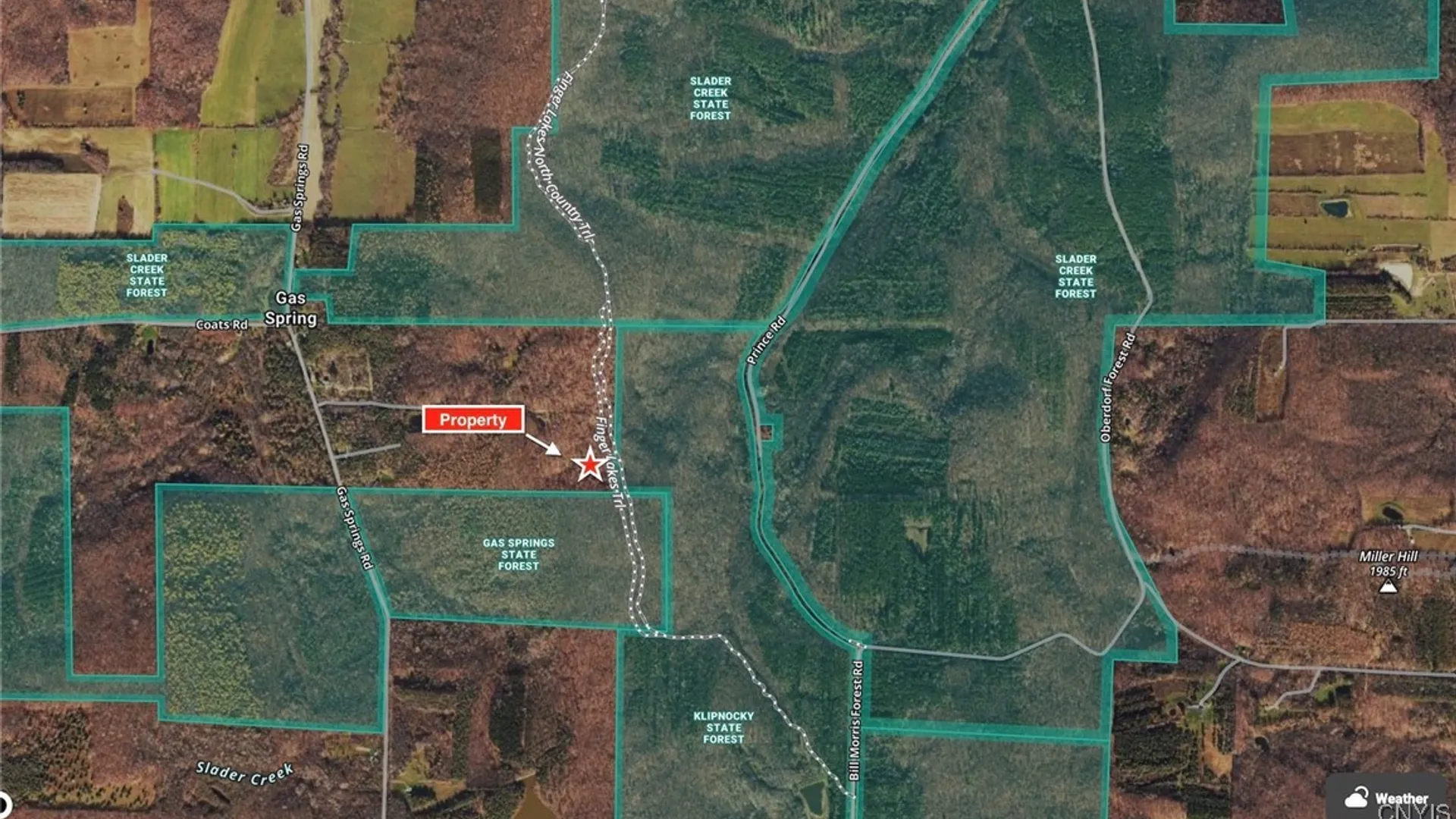 Property at 9516 Gas Springs Road, Burns, NY 14822 19