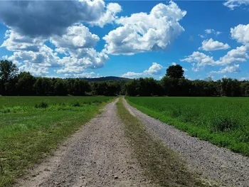 Property at Lot 14.1 Lot 1 Ashe Road, Manheim, NY 13365
