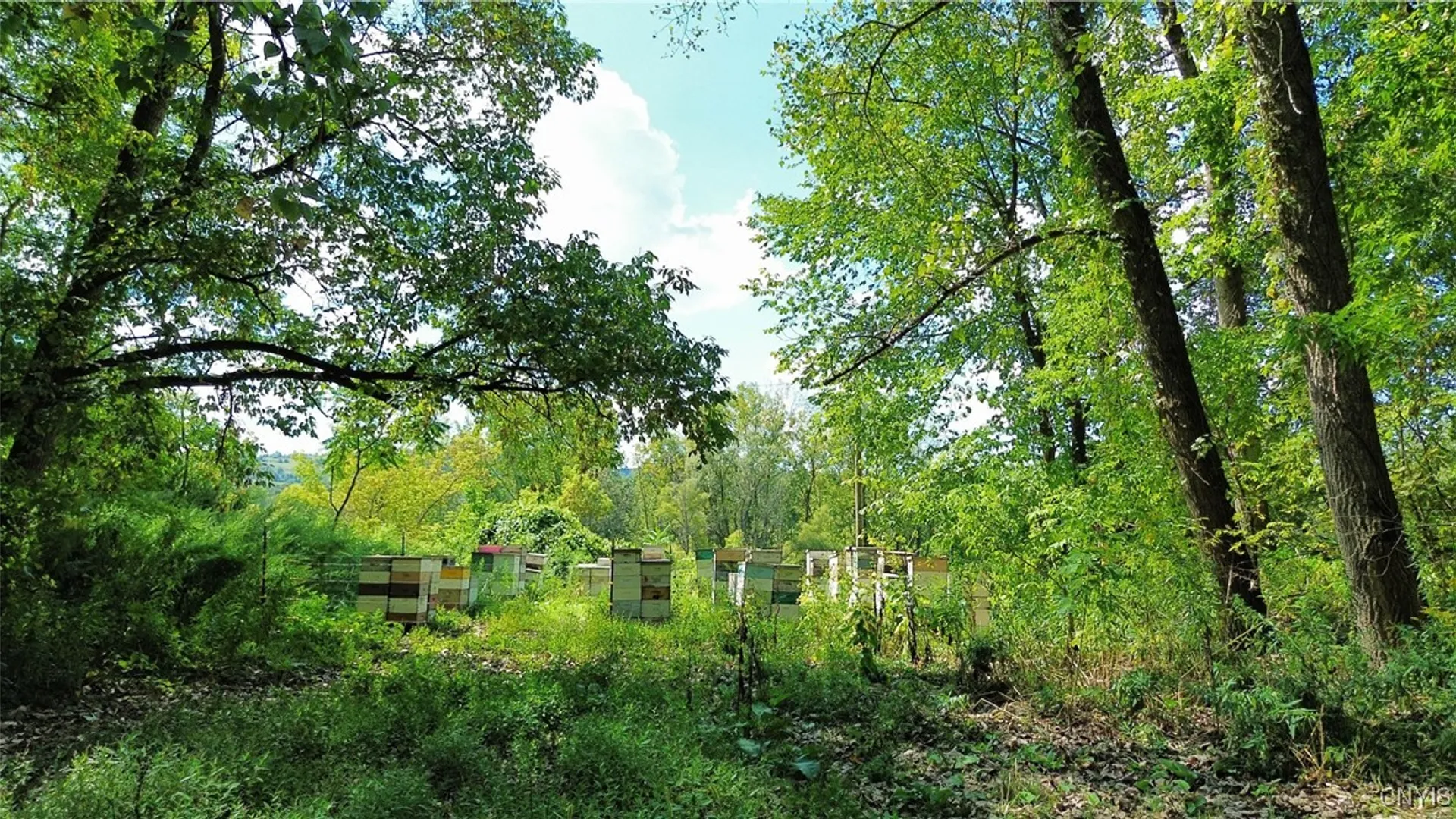Property at Lot 14.1 Lot 2 Ashe Road, Manheim, NY 13365 14