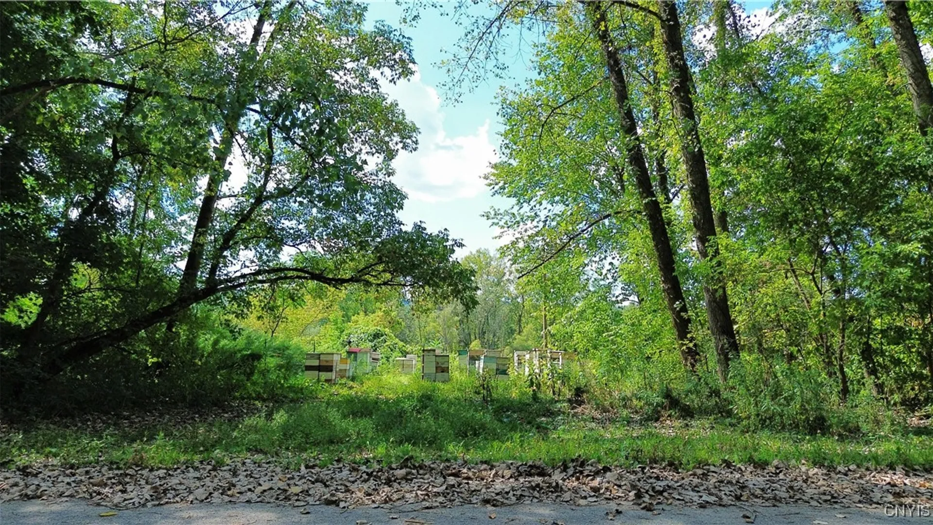 Property at Lot 14.1 Lot 2 Ashe Road, Manheim, NY 13365 15