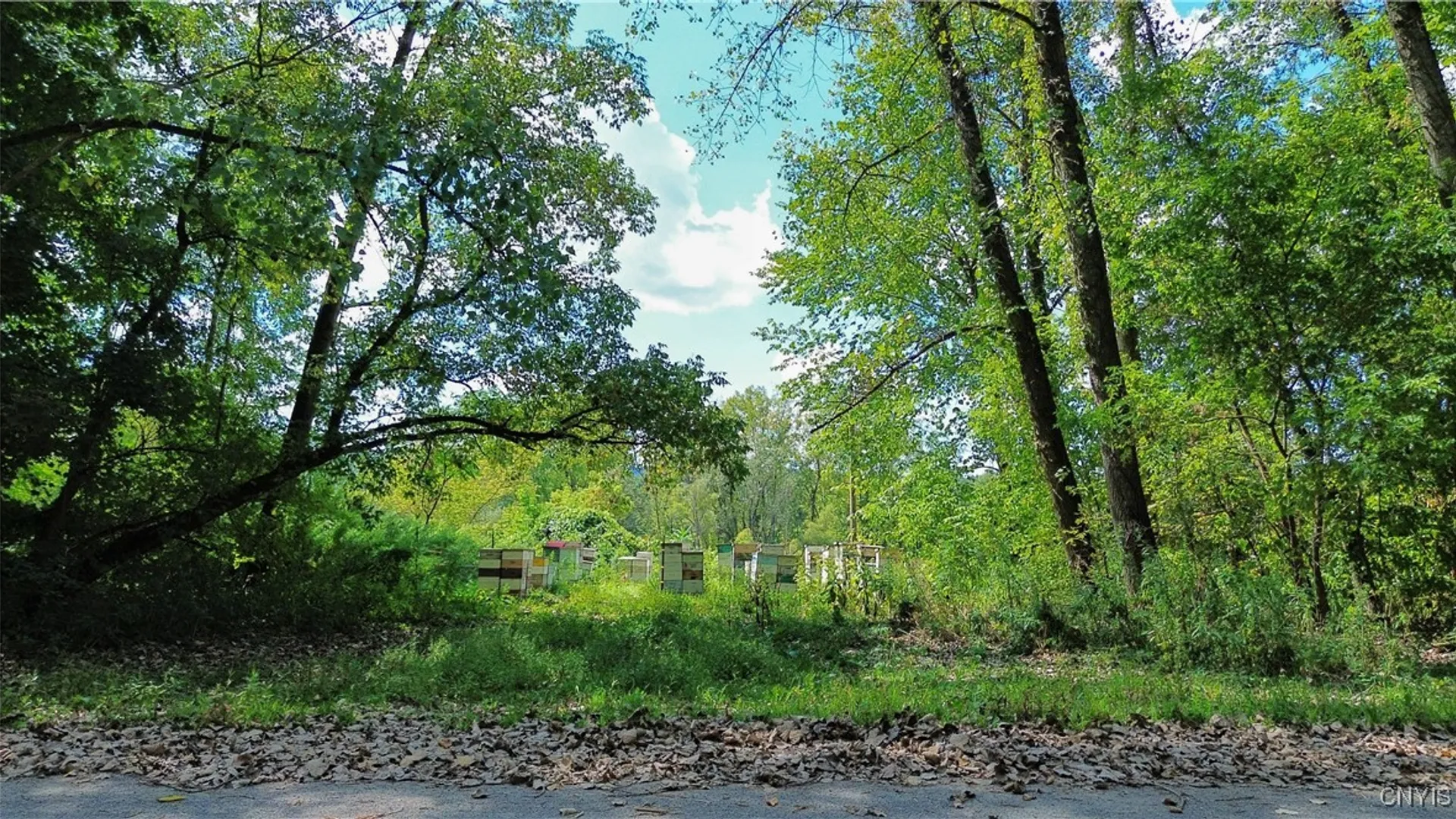 Property at Lot 14.1 Lot 2 Ashe Road, Manheim, NY 13365 16