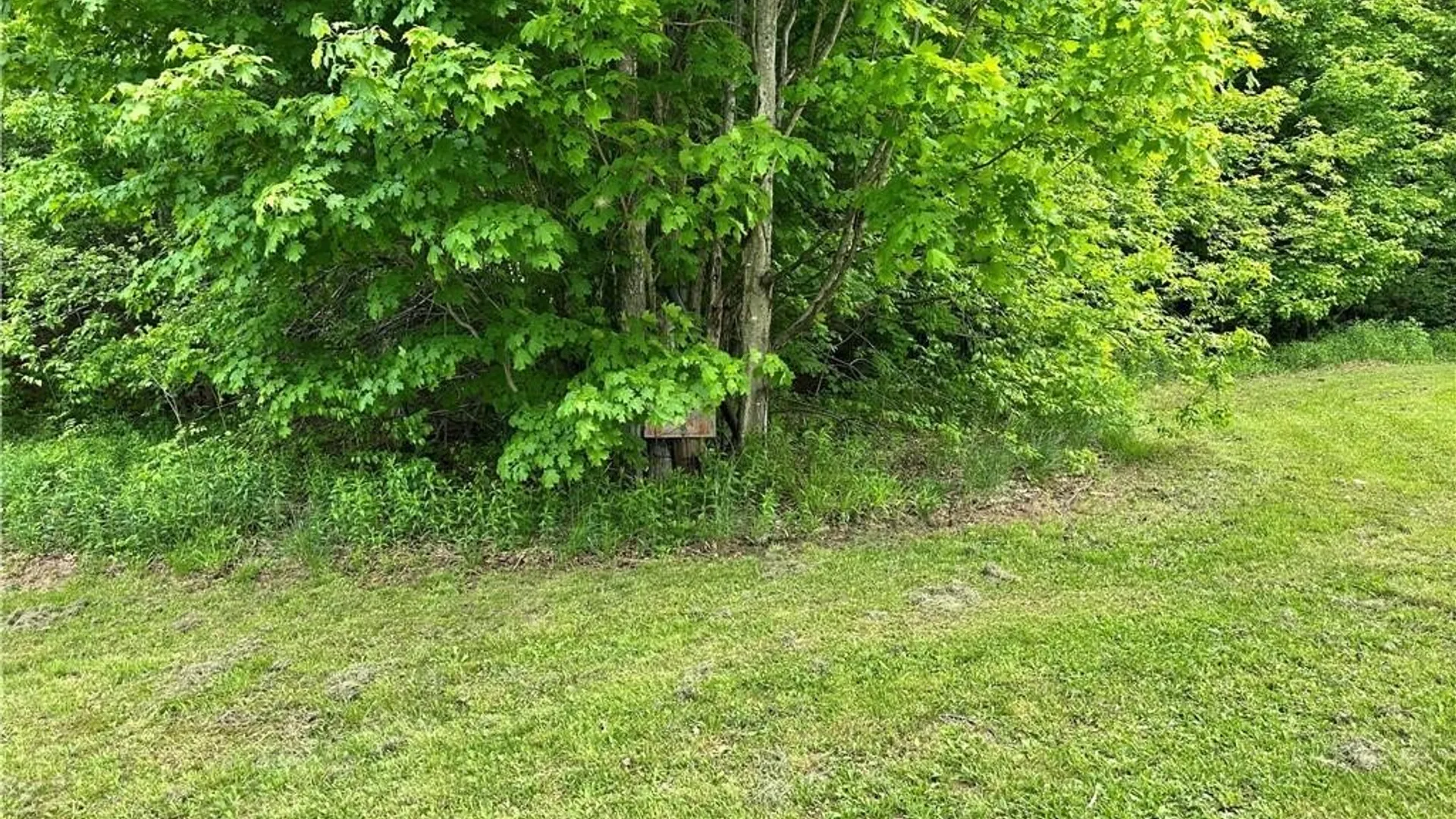 Property at 21 Church Street, Fine, NY 13639 25