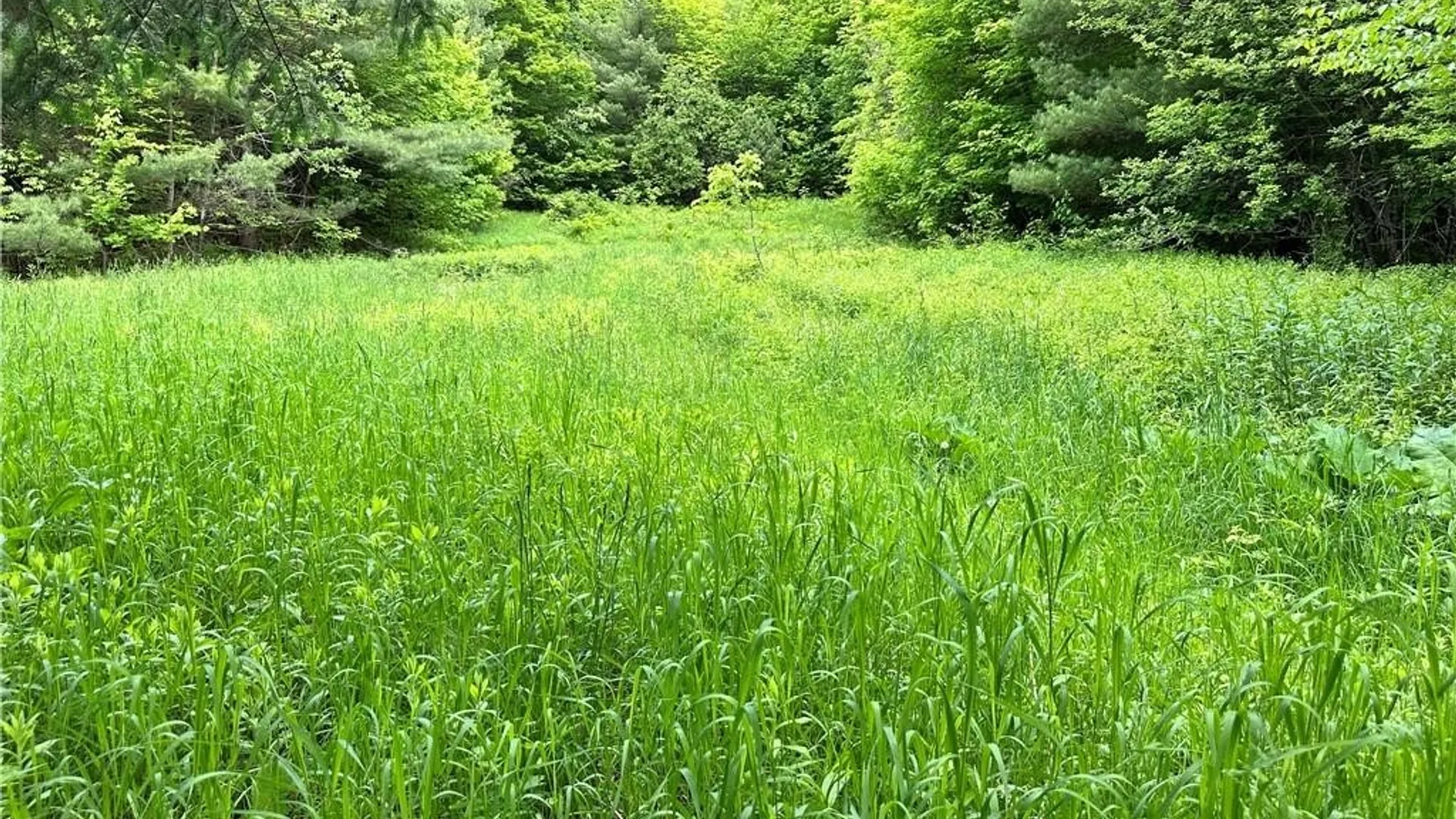 Property at 21 Church Street, Fine, NY 13639 37