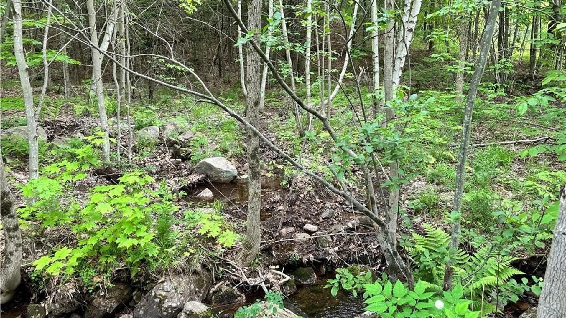 Property at 21 Church Street, Fine, NY 13639 38