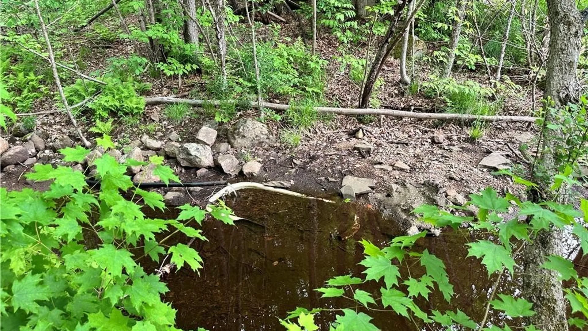 Property at 21 Church Street, Fine, NY 13639 39