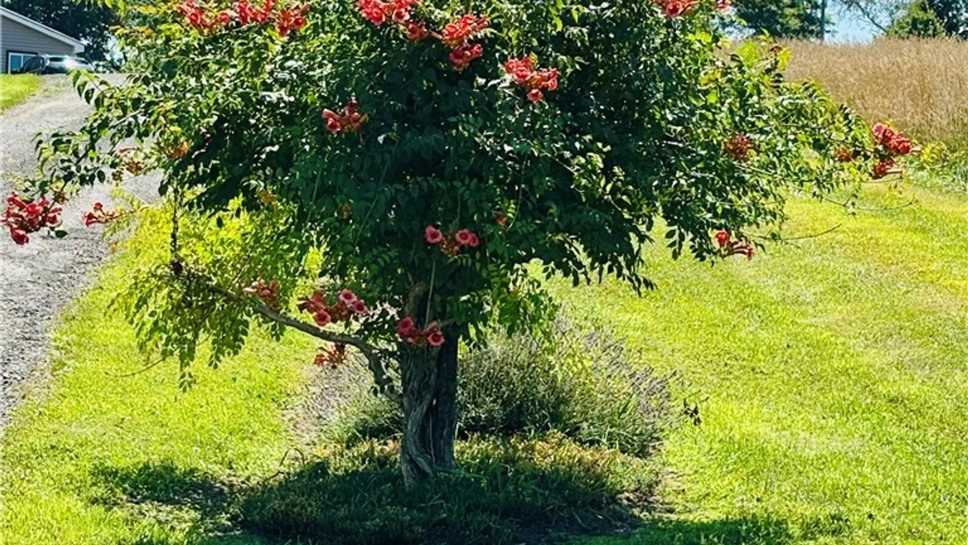 Property at 3228 Zelsnack Road, Marathon, NY 13803 44