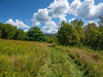 Property at 25 Depot Street Andes-Delancey Road, Andes, NY 13731