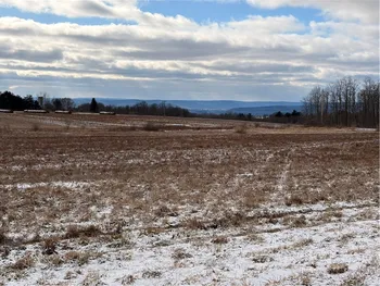 Property at 0 Terry Hill Rd, Veteran, NY 14845