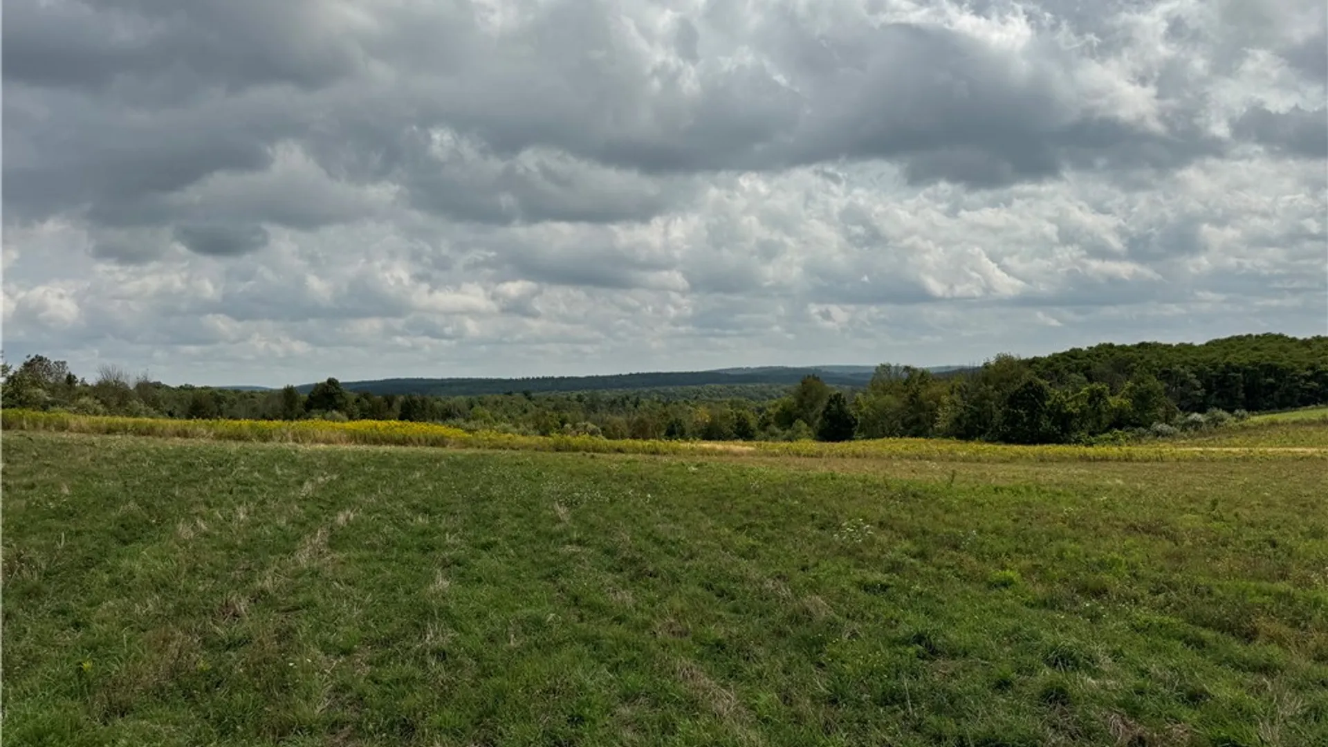 Property at 0 Terry Hill Rd, Veteran, NY 14845 3