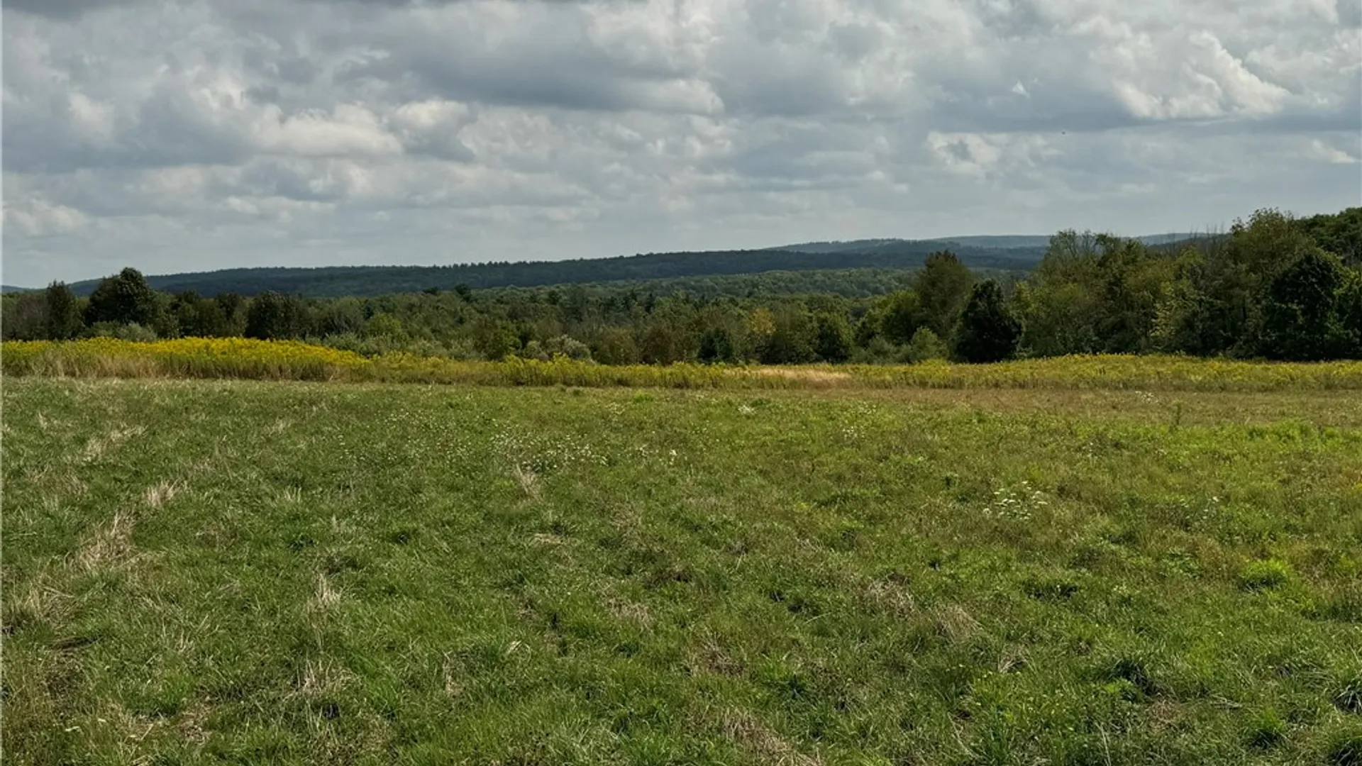 Property at 0 Terry Hill Rd, Veteran, NY 14845 4