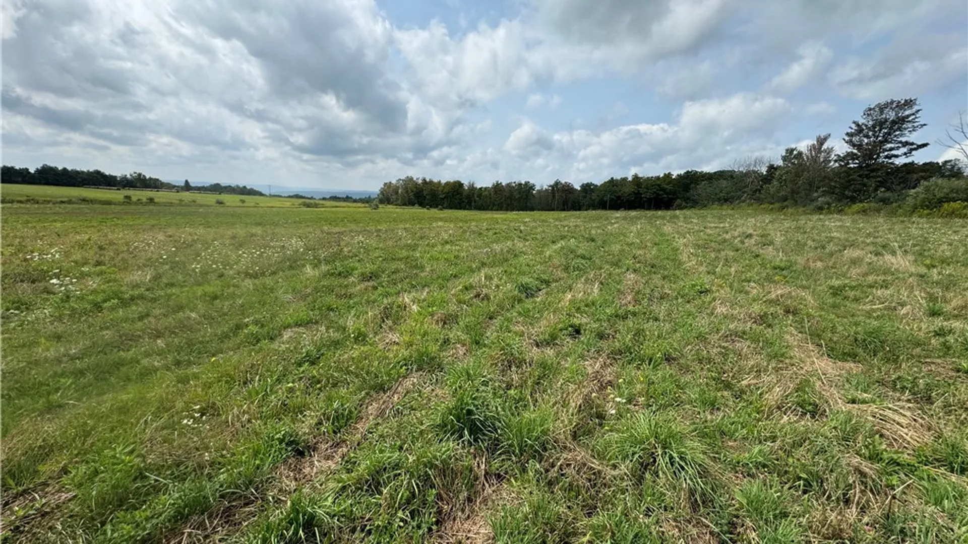 Property at 0 Terry Hill Rd, Veteran, NY 14845 6